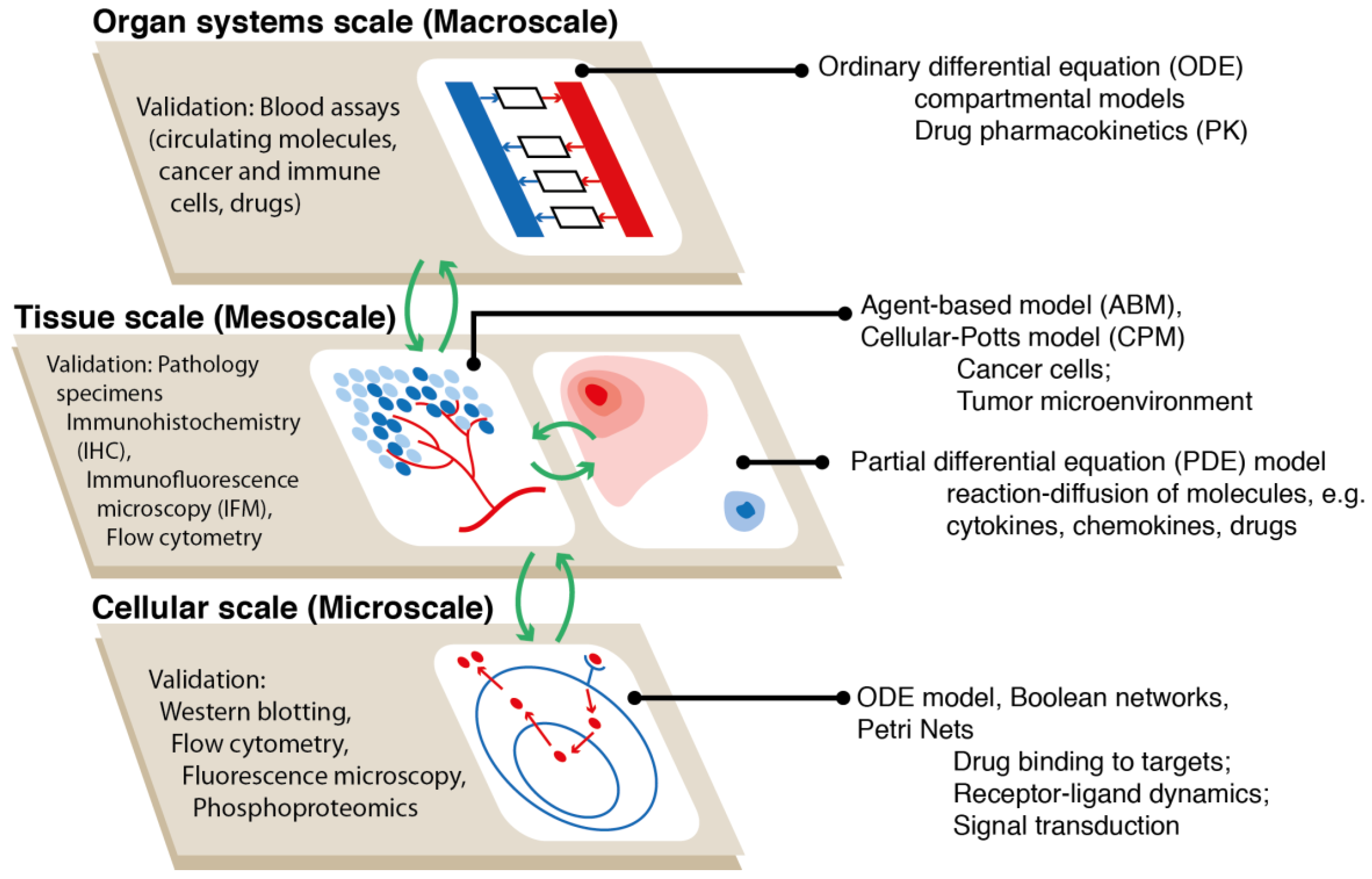 Processes 07 00037 g002