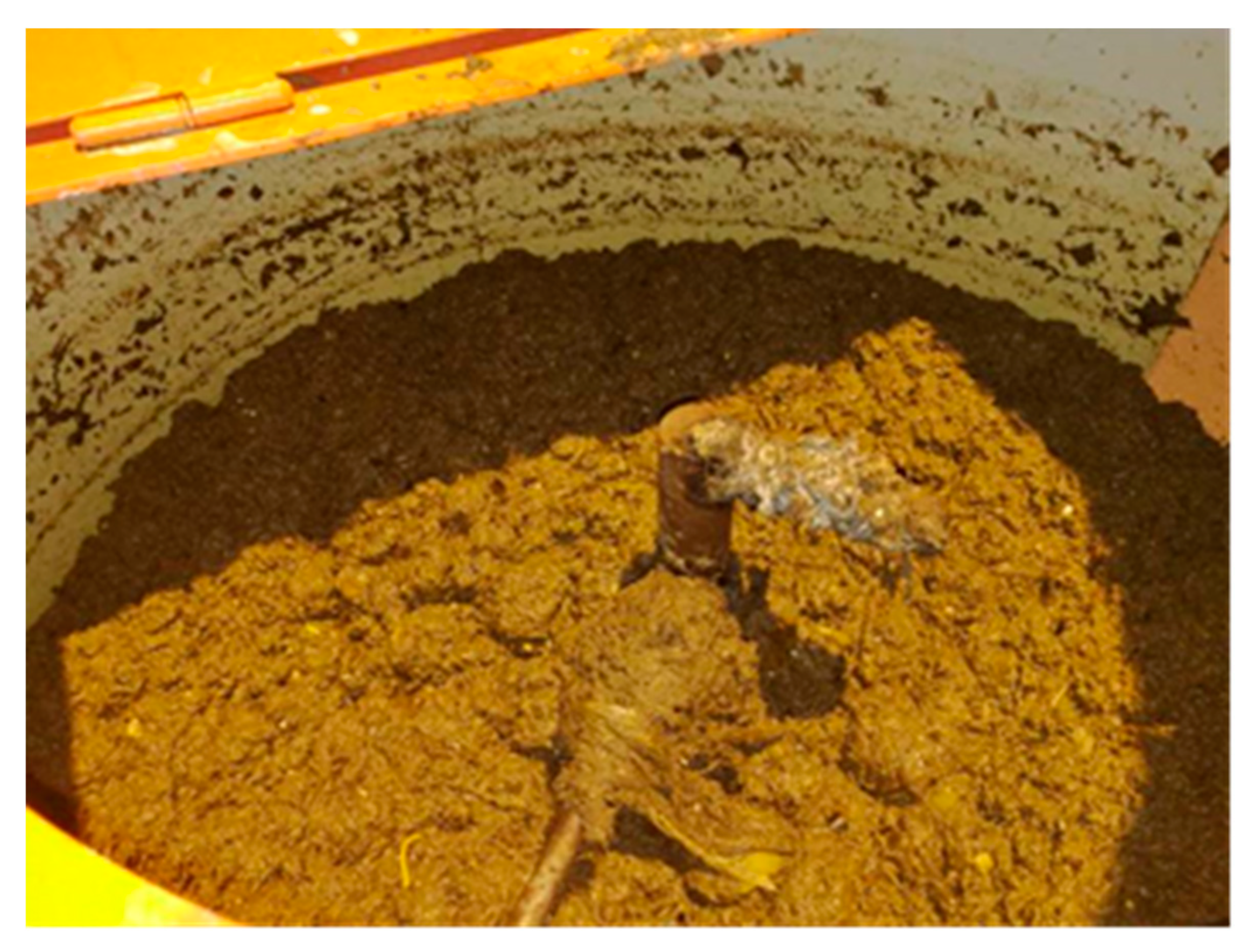 Processes 07 00054 g003