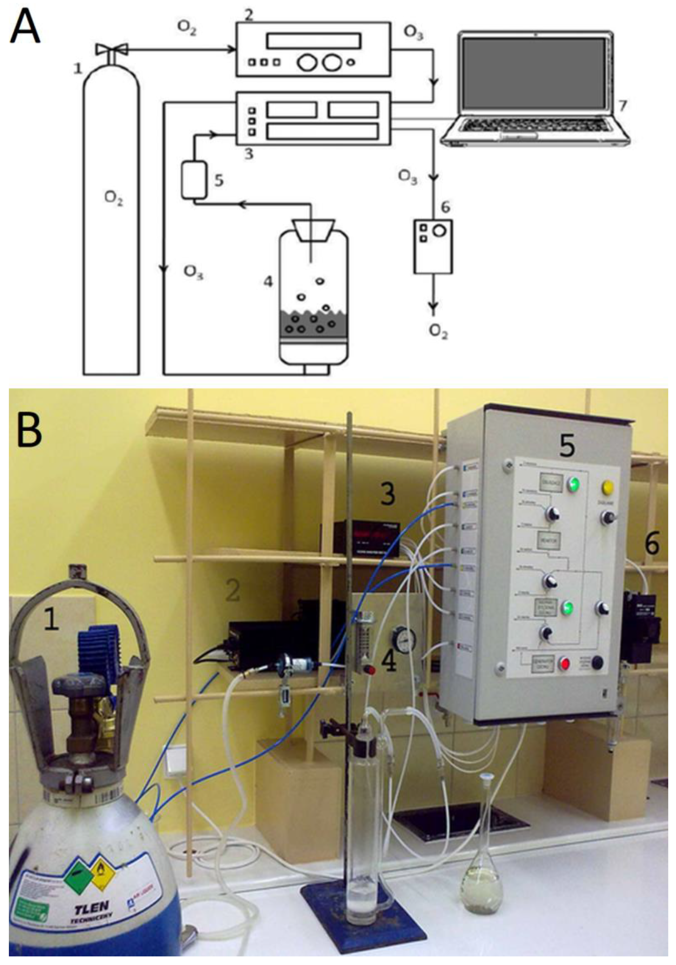 Processes 07 00065 g001