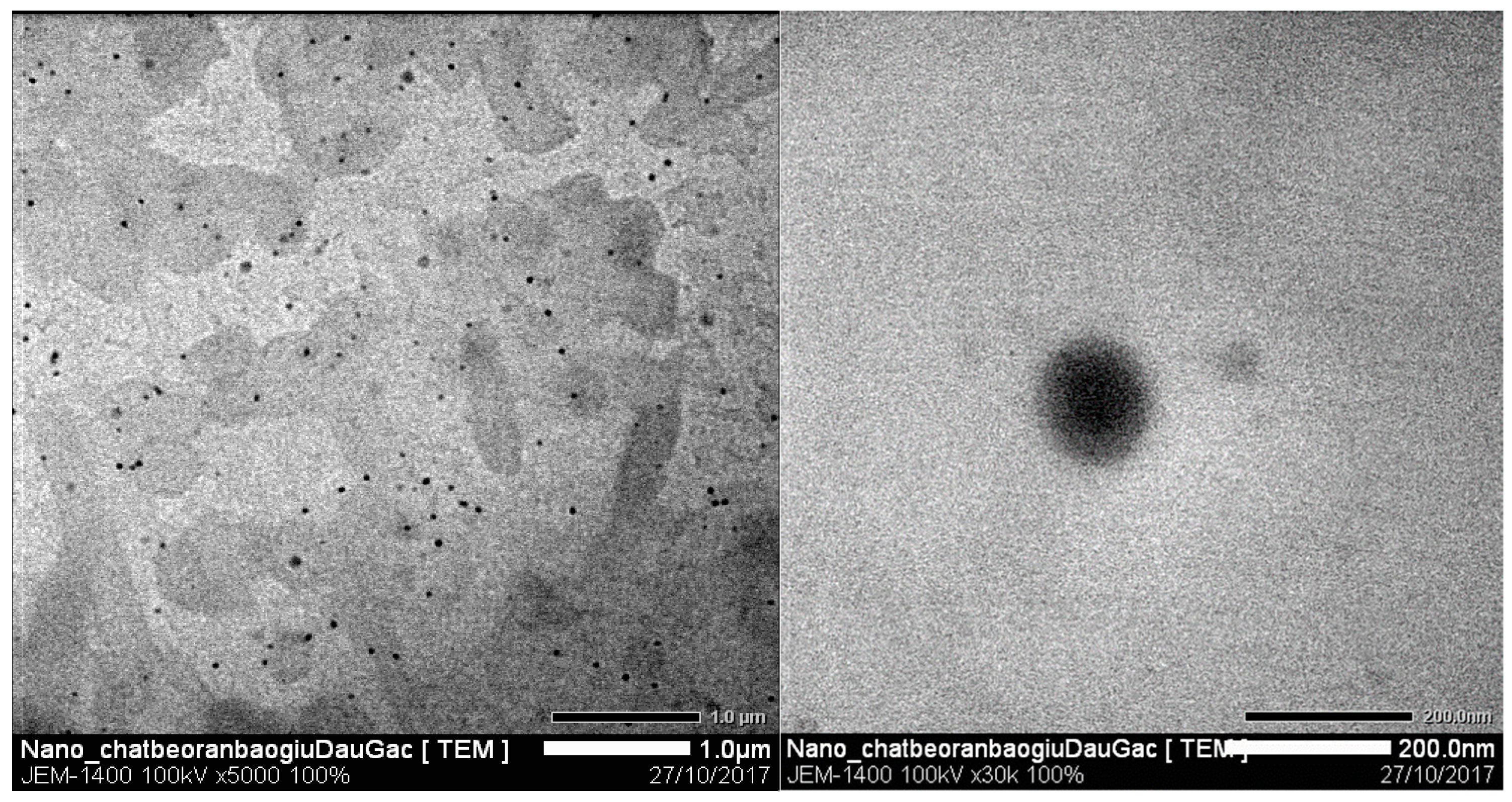 Processes 07 00090 g007