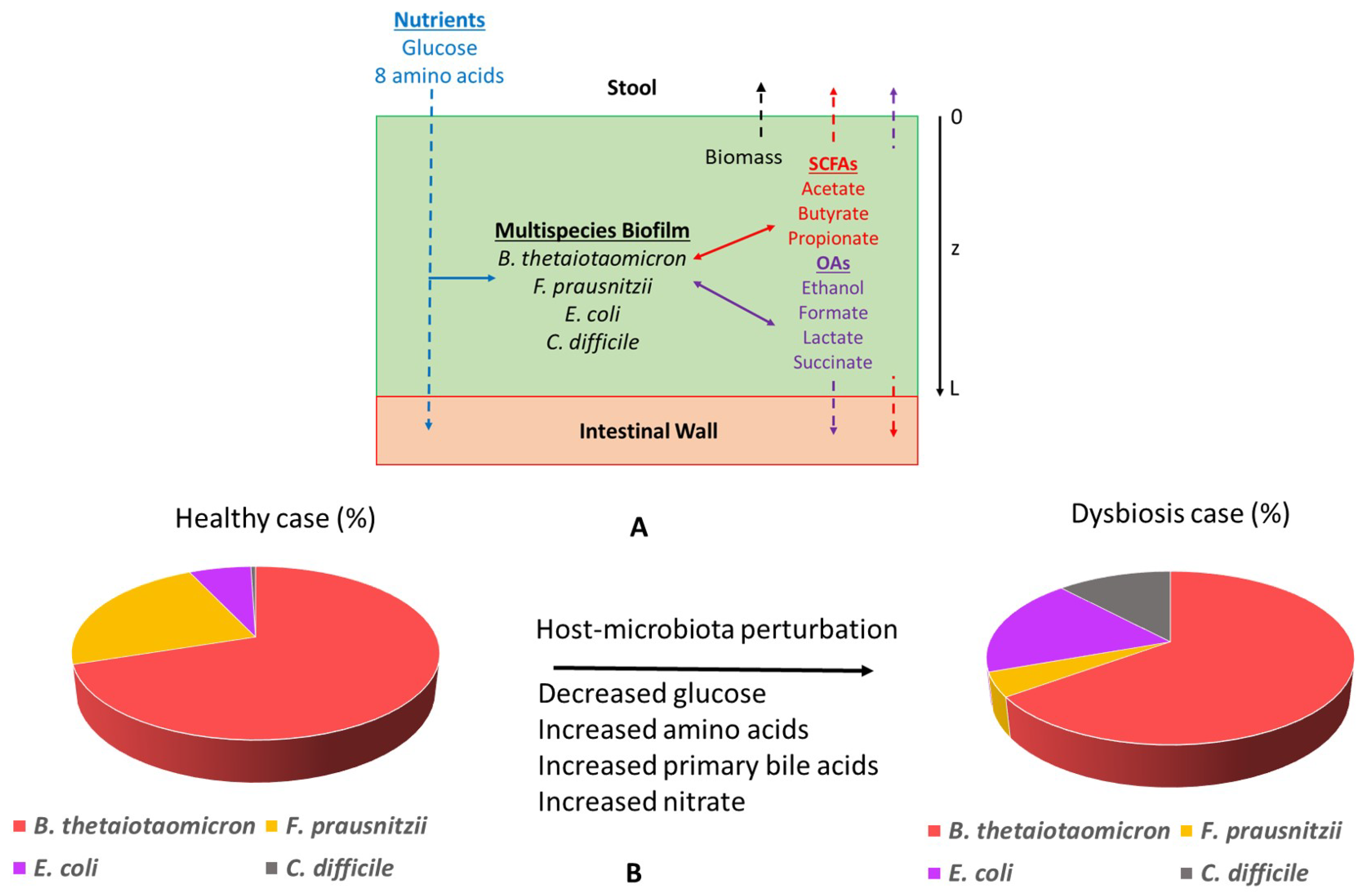 Processes 07 00097 g006
