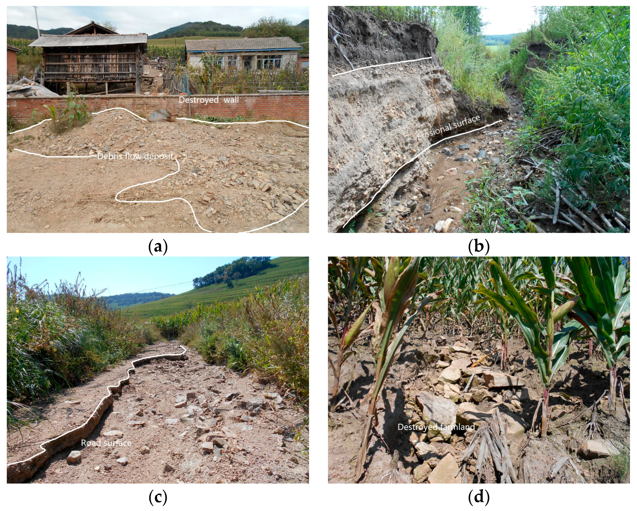 Processes 07 00099 g003