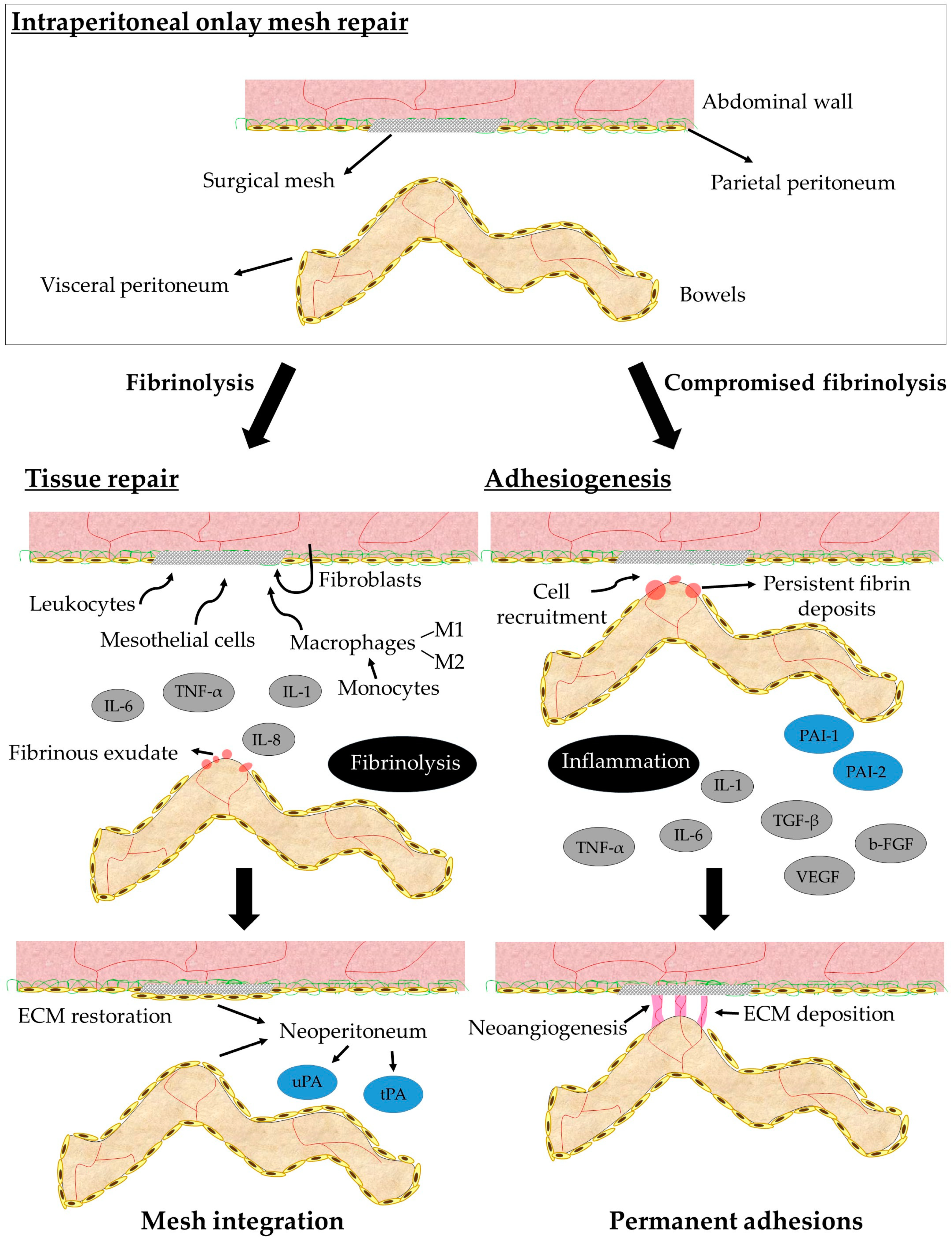 Processes 07 00105 g001