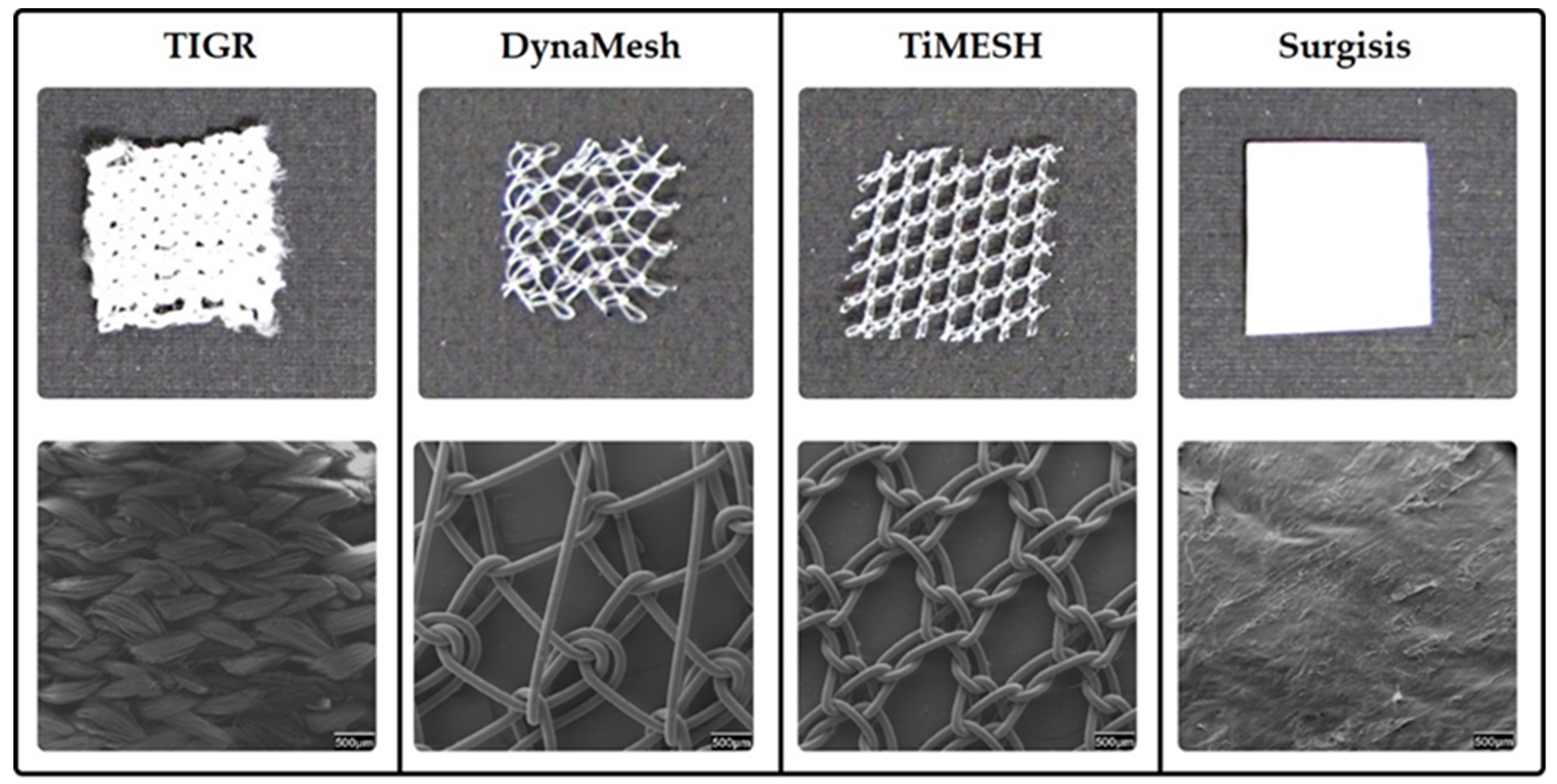Processes 07 00105 g004