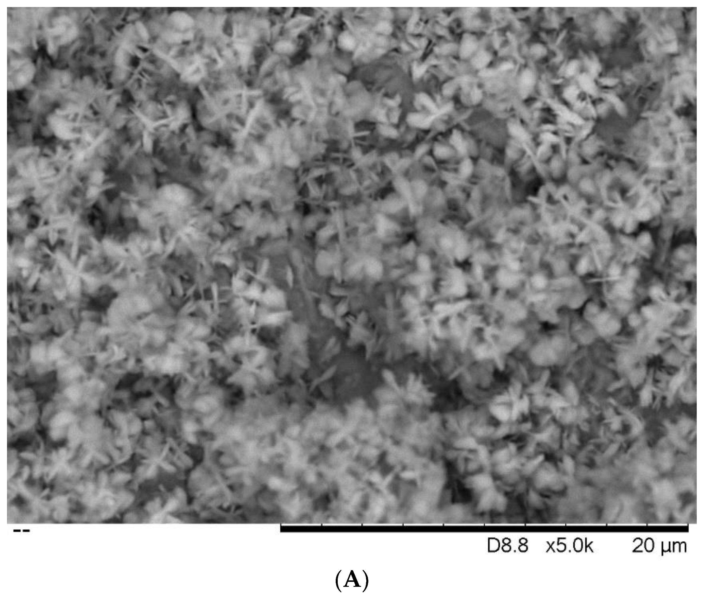 Processes 07 00112 g008a