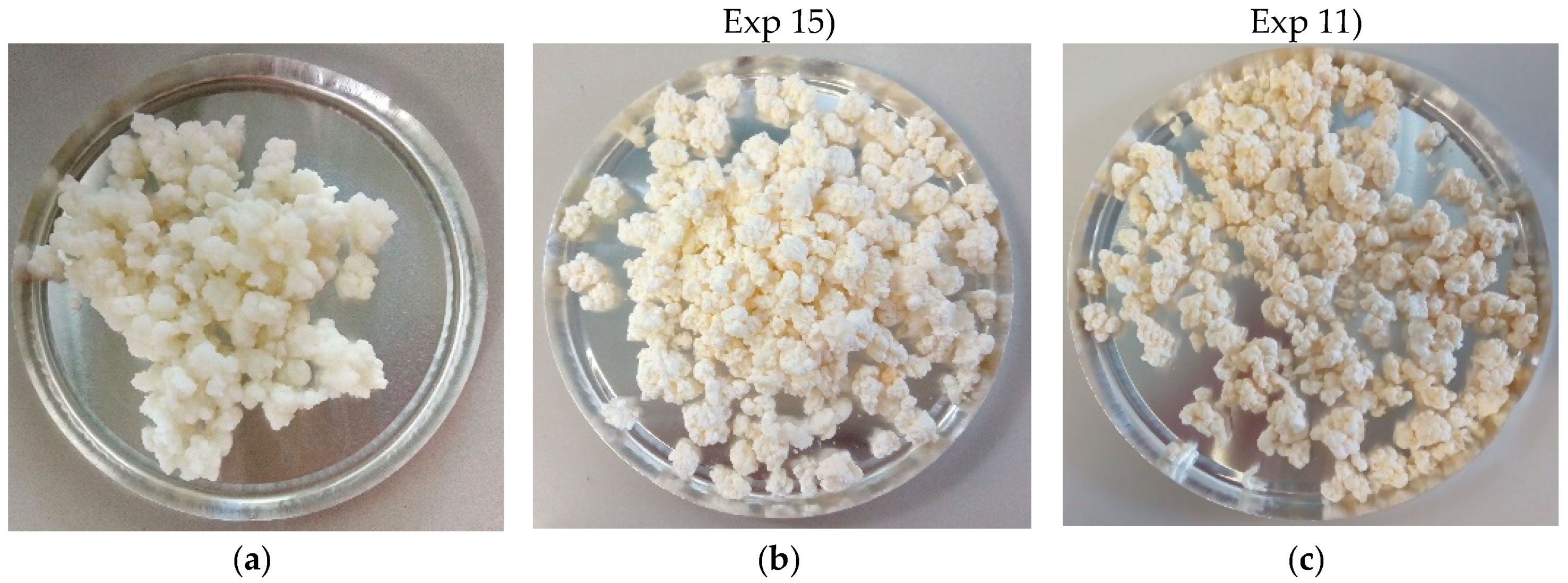 Processes 07 00127 g004