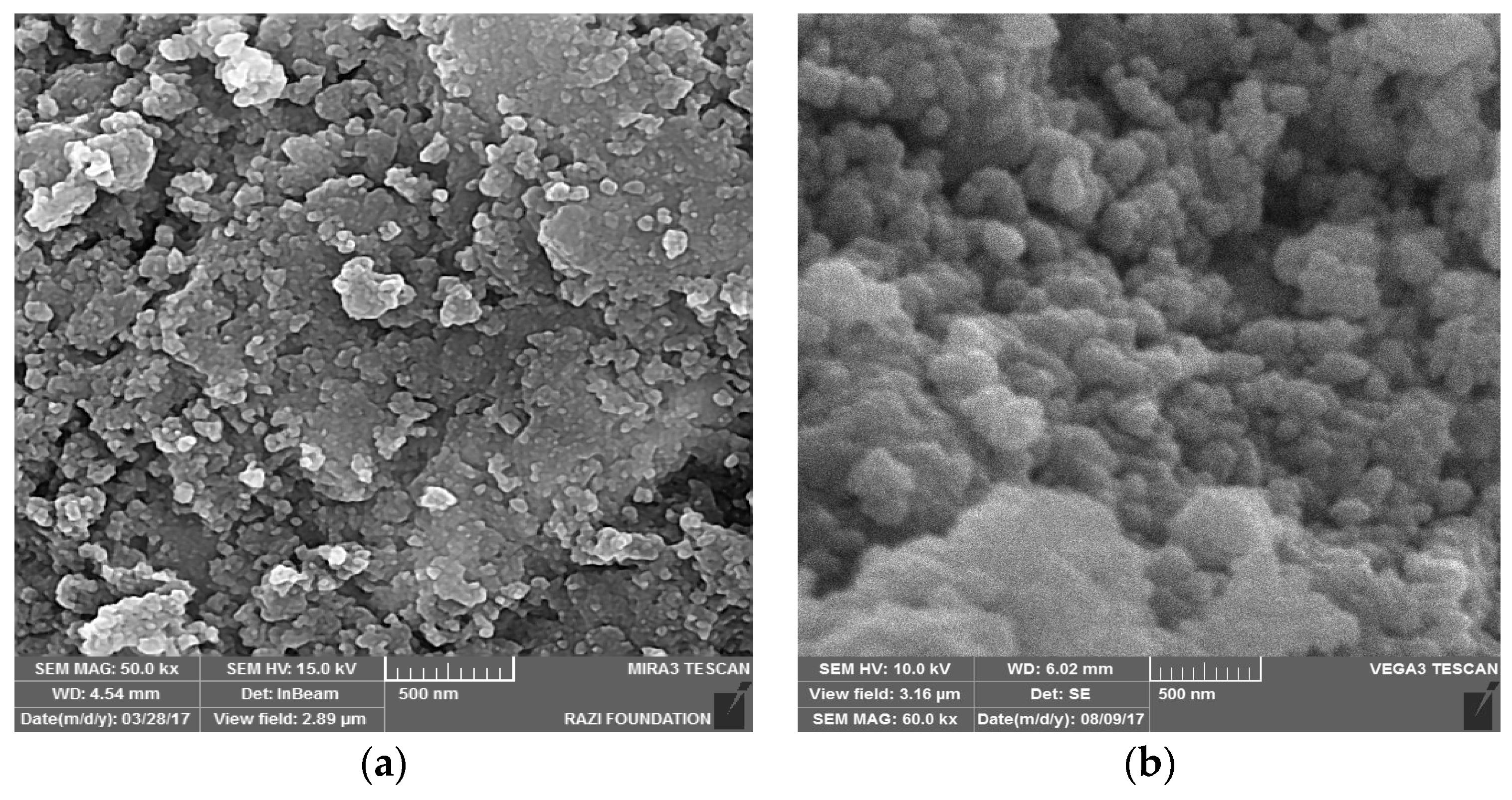 Processes 07 00136 g004 Processes 07 00136 g004