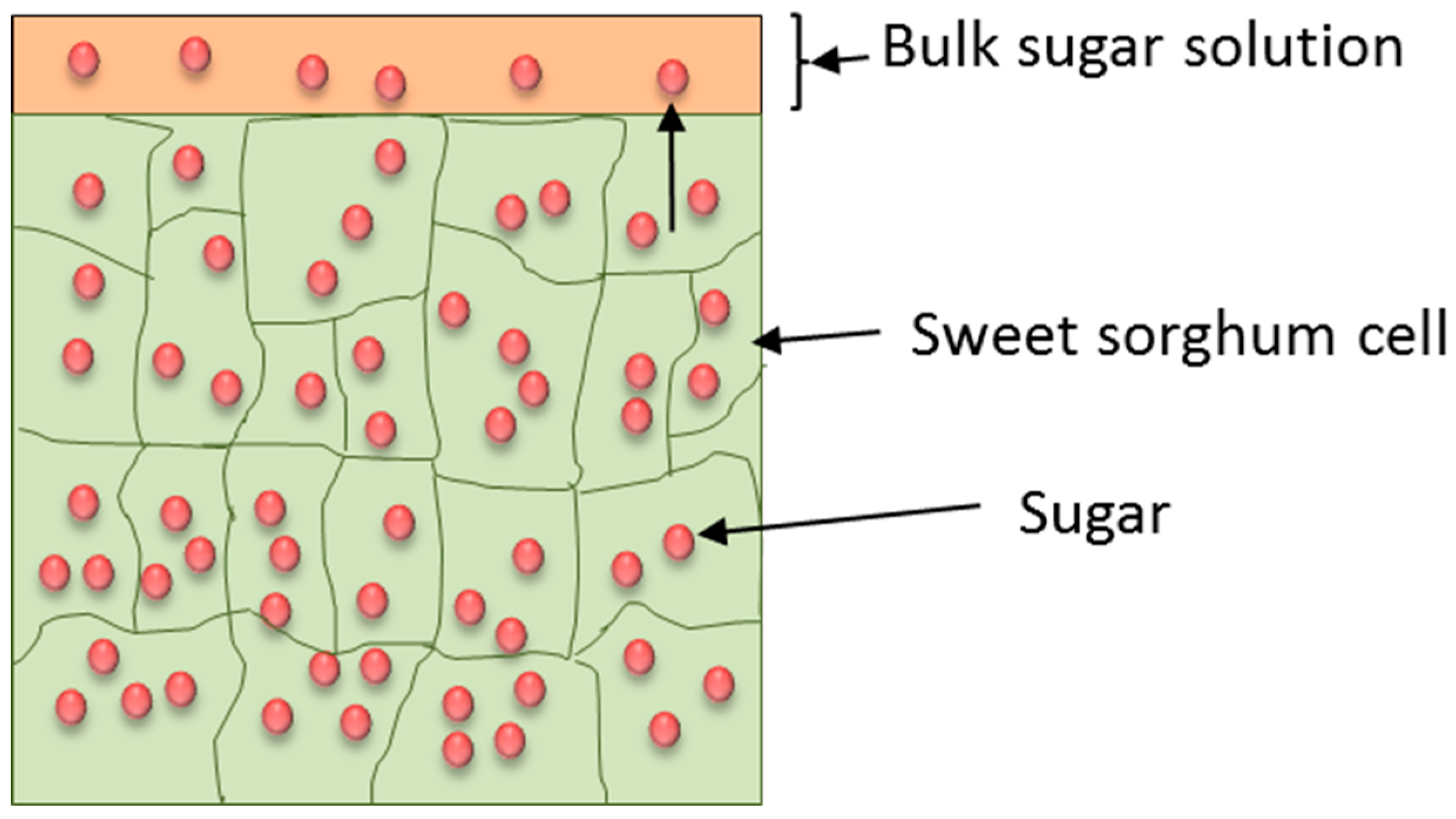 Processes 07 00137 g002