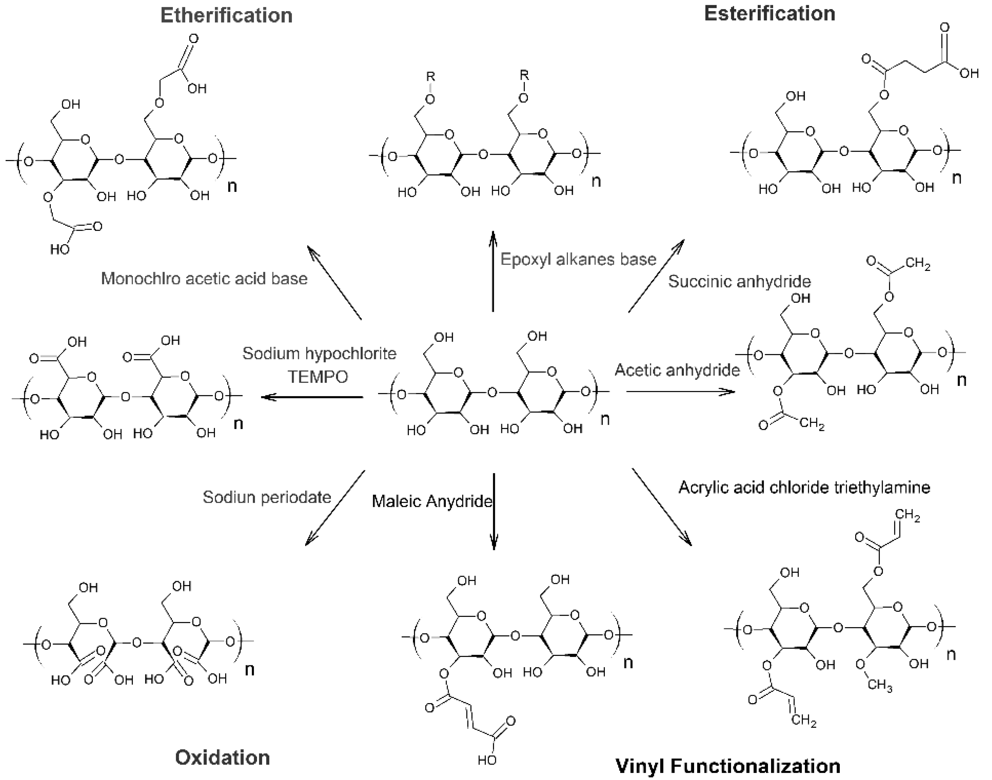 Processes 07 00140 g004