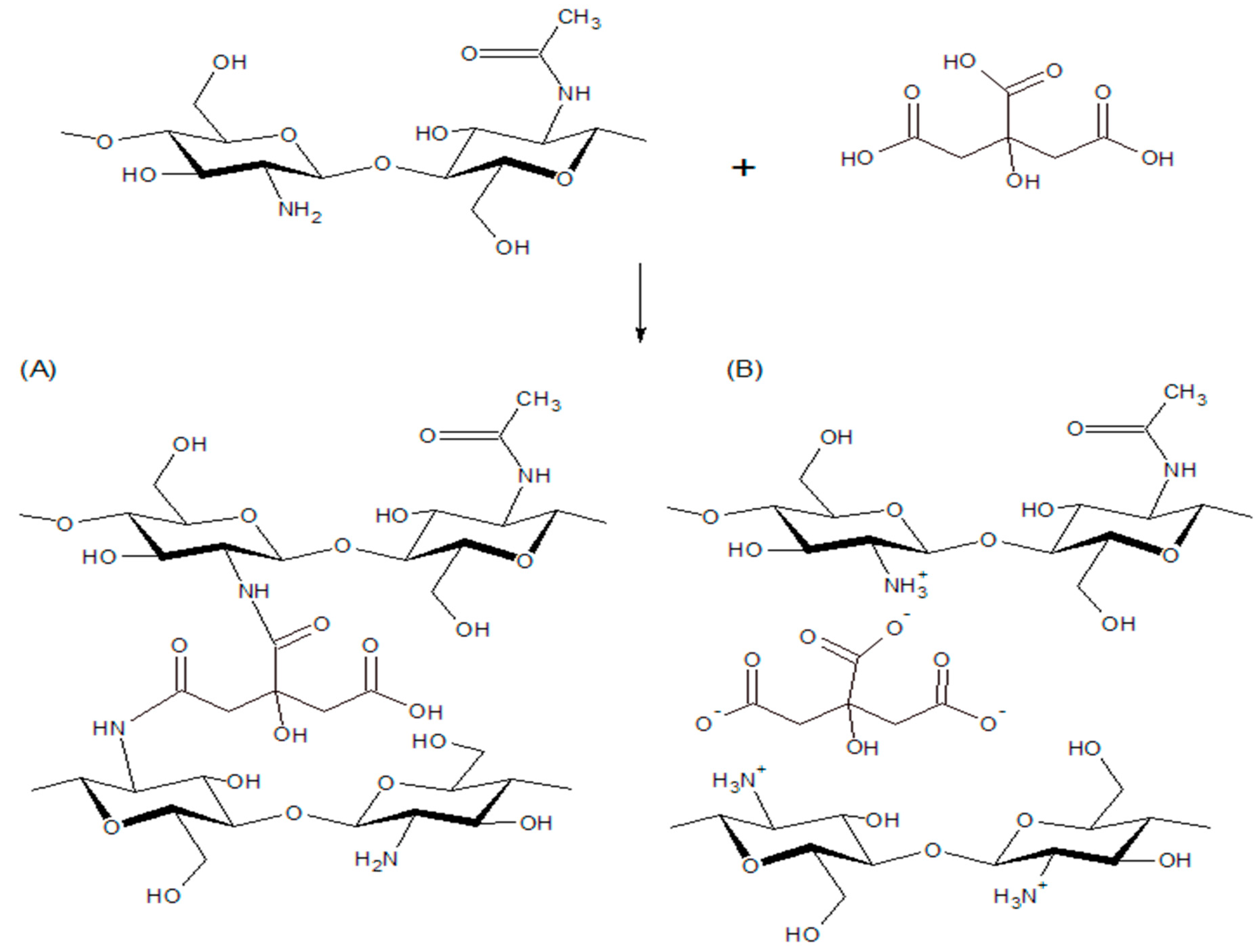 Processes 07 00157 g002