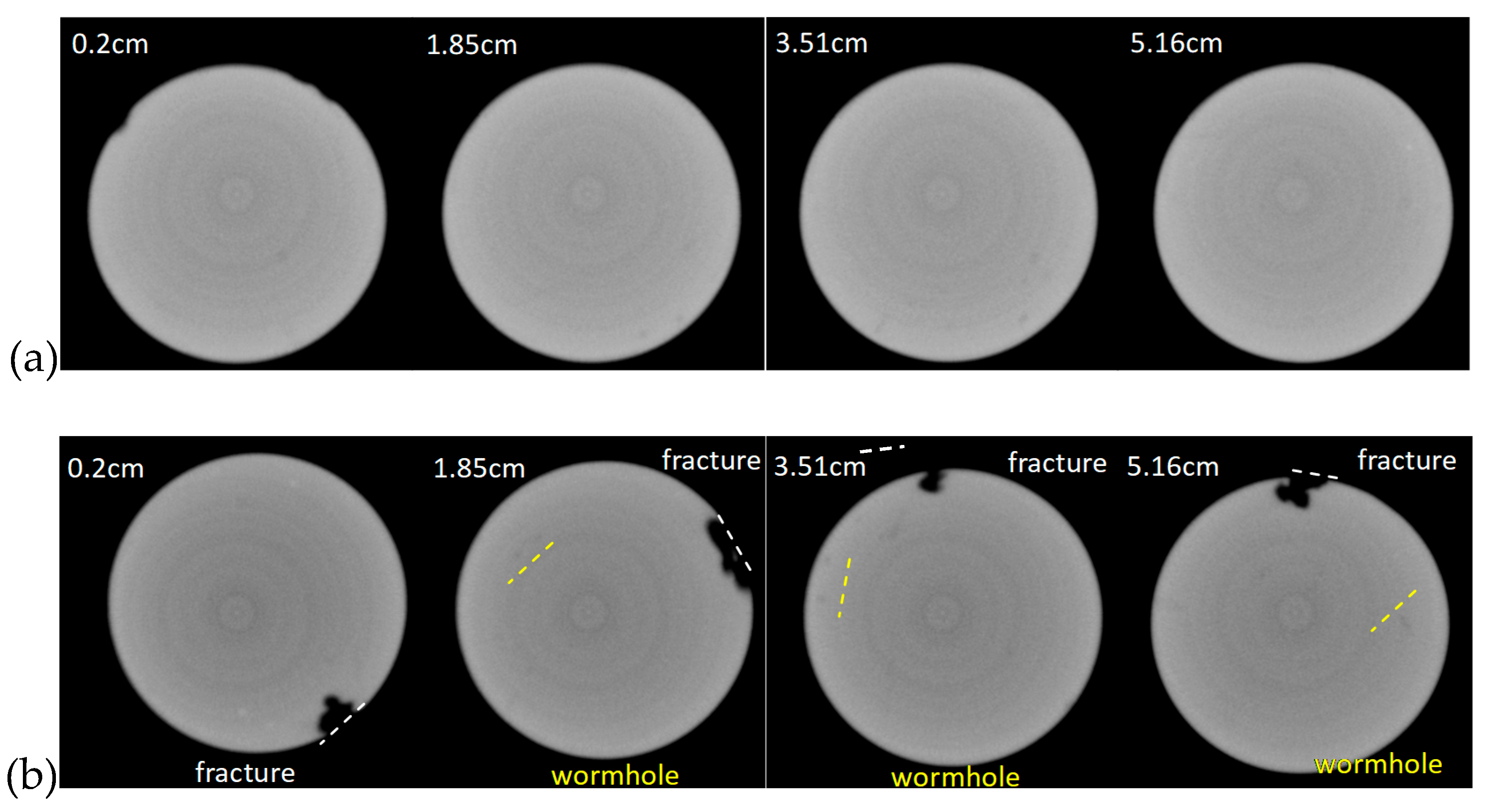 Processes 07 00159 g007