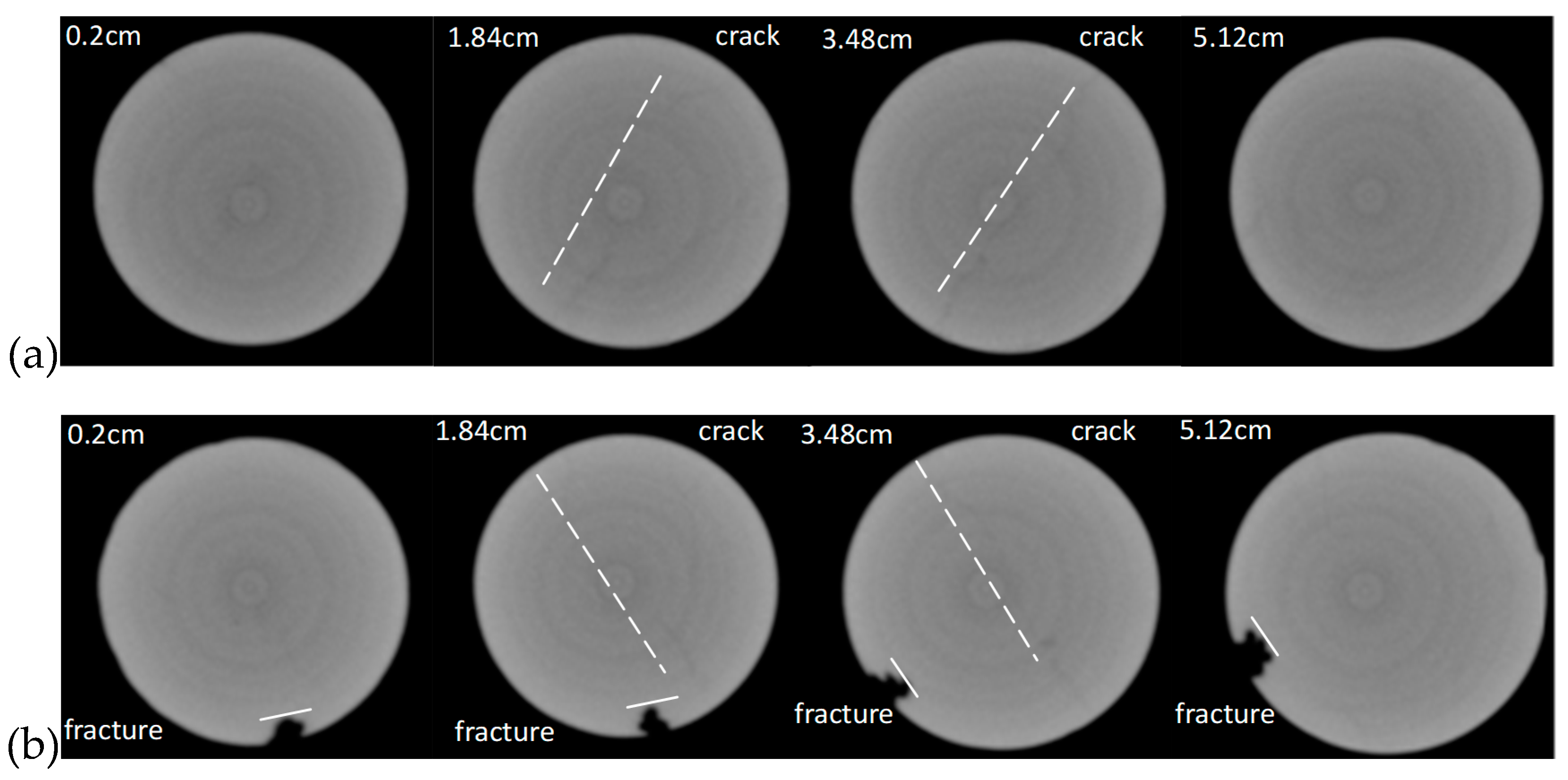 Processes 07 00159 g010