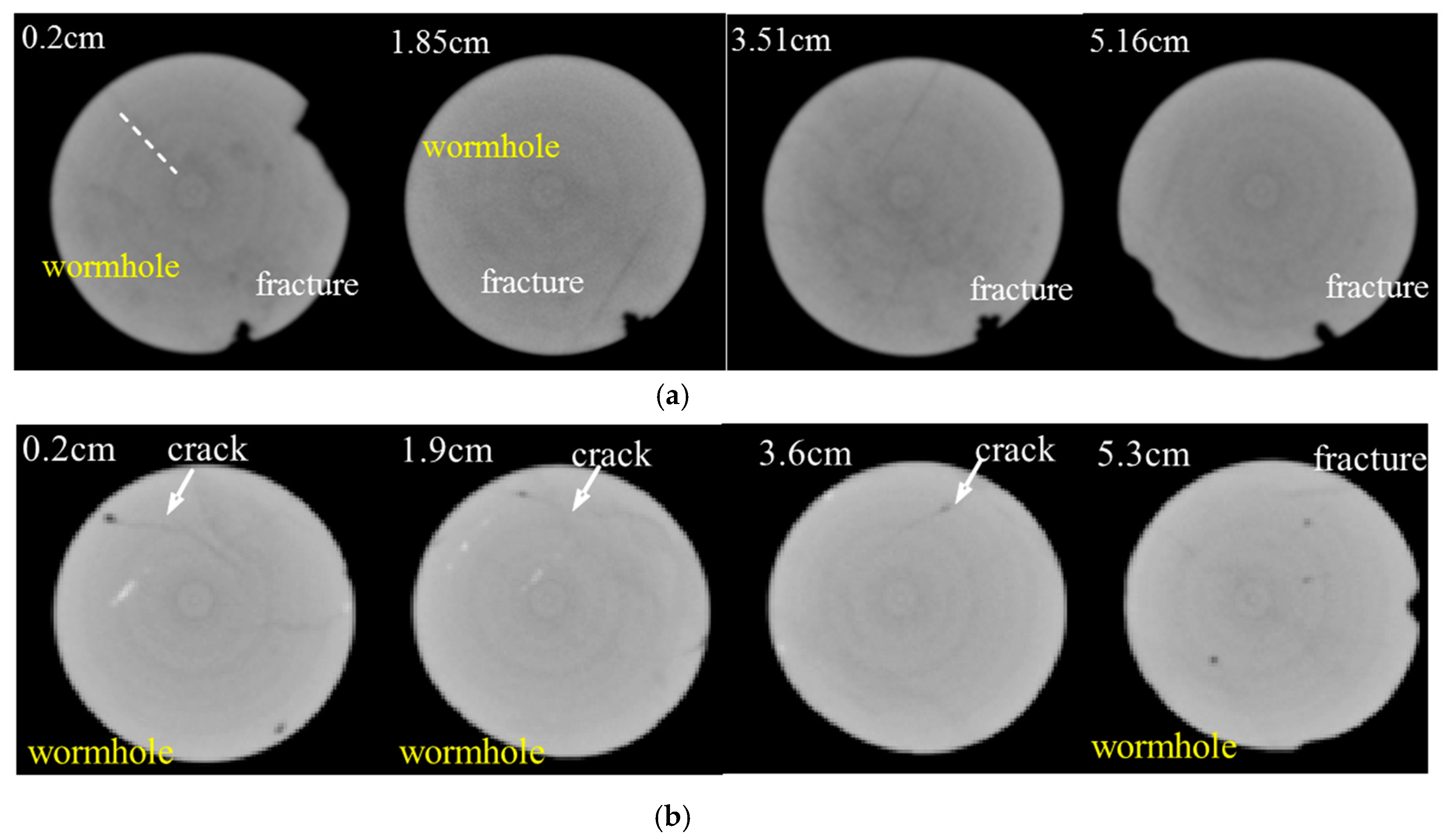 Processes 07 00159 g013