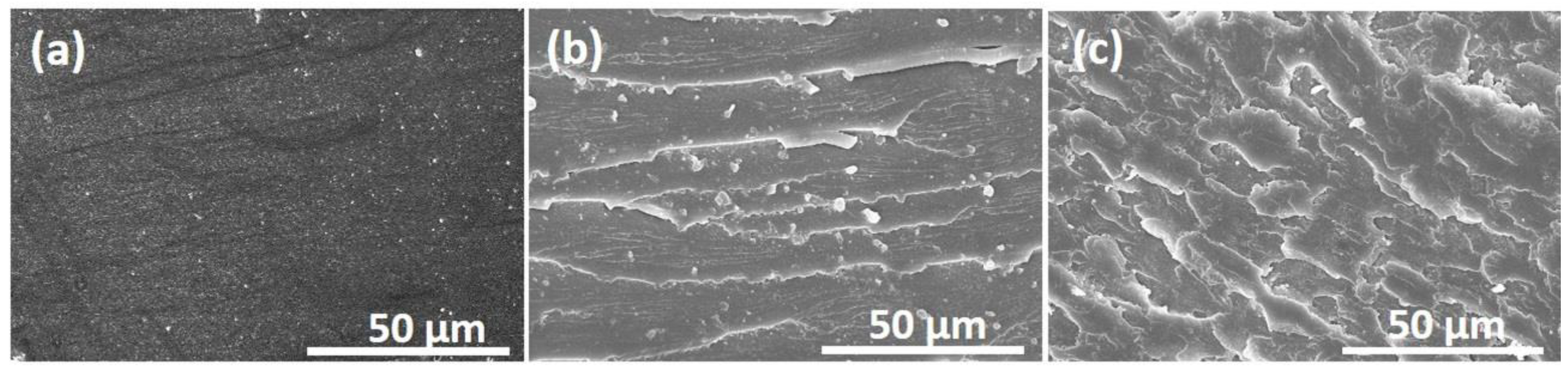 Processes 07 00178 g005