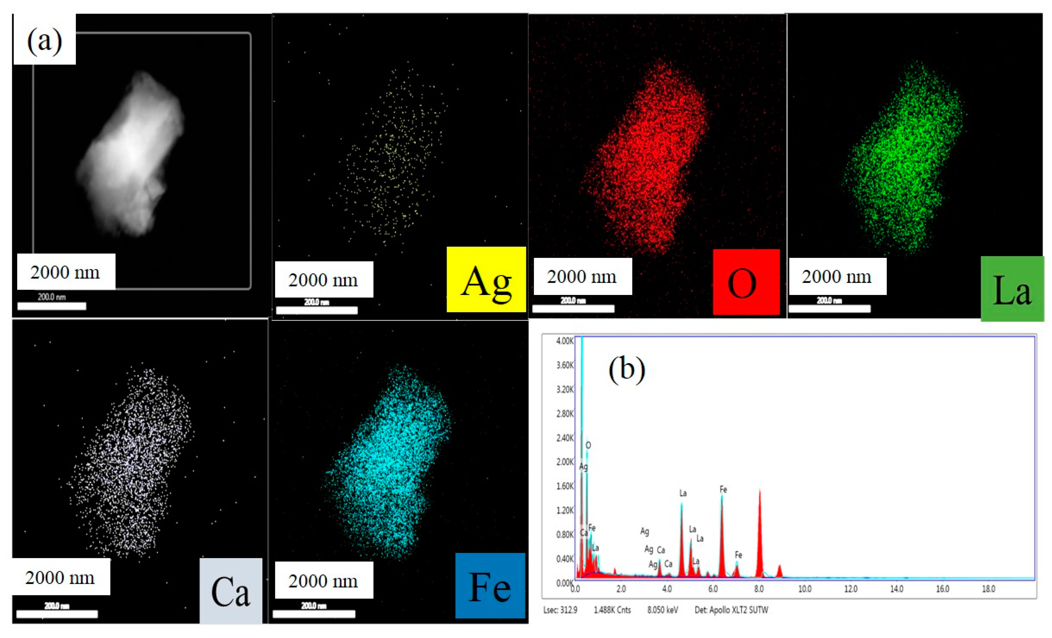 Processes 07 00199 g004