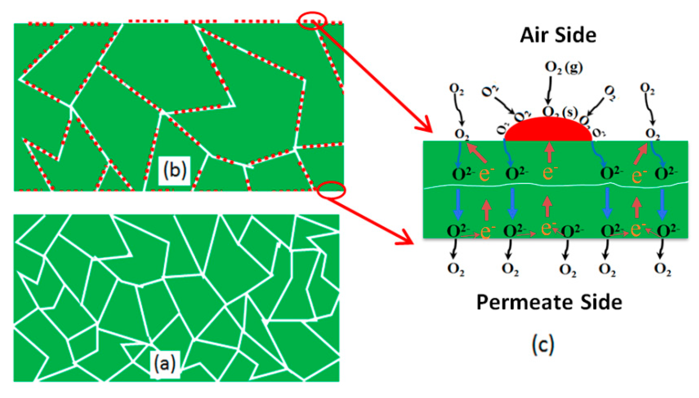 Processes 07 00199 g006