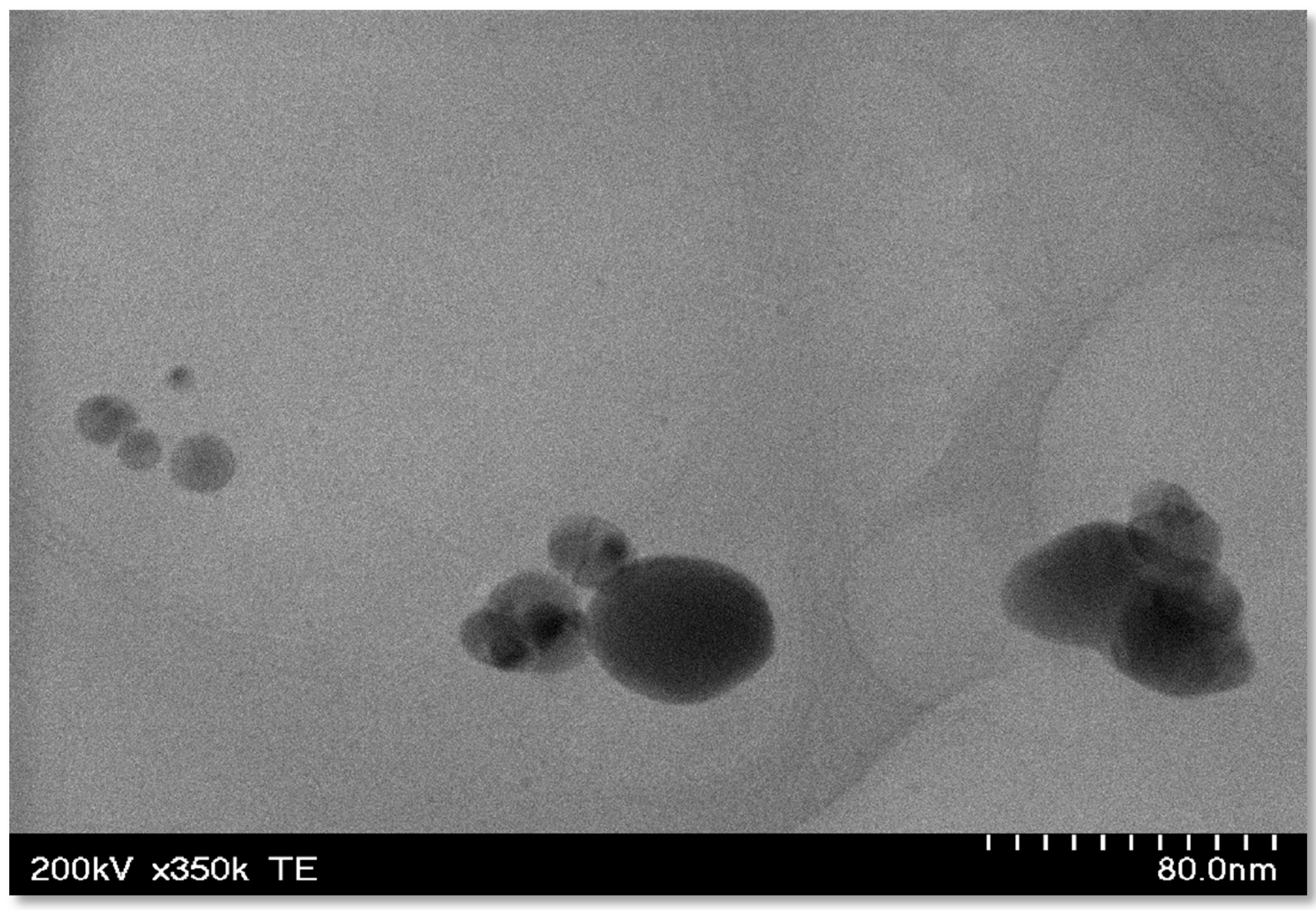Processes 07 00206 g004