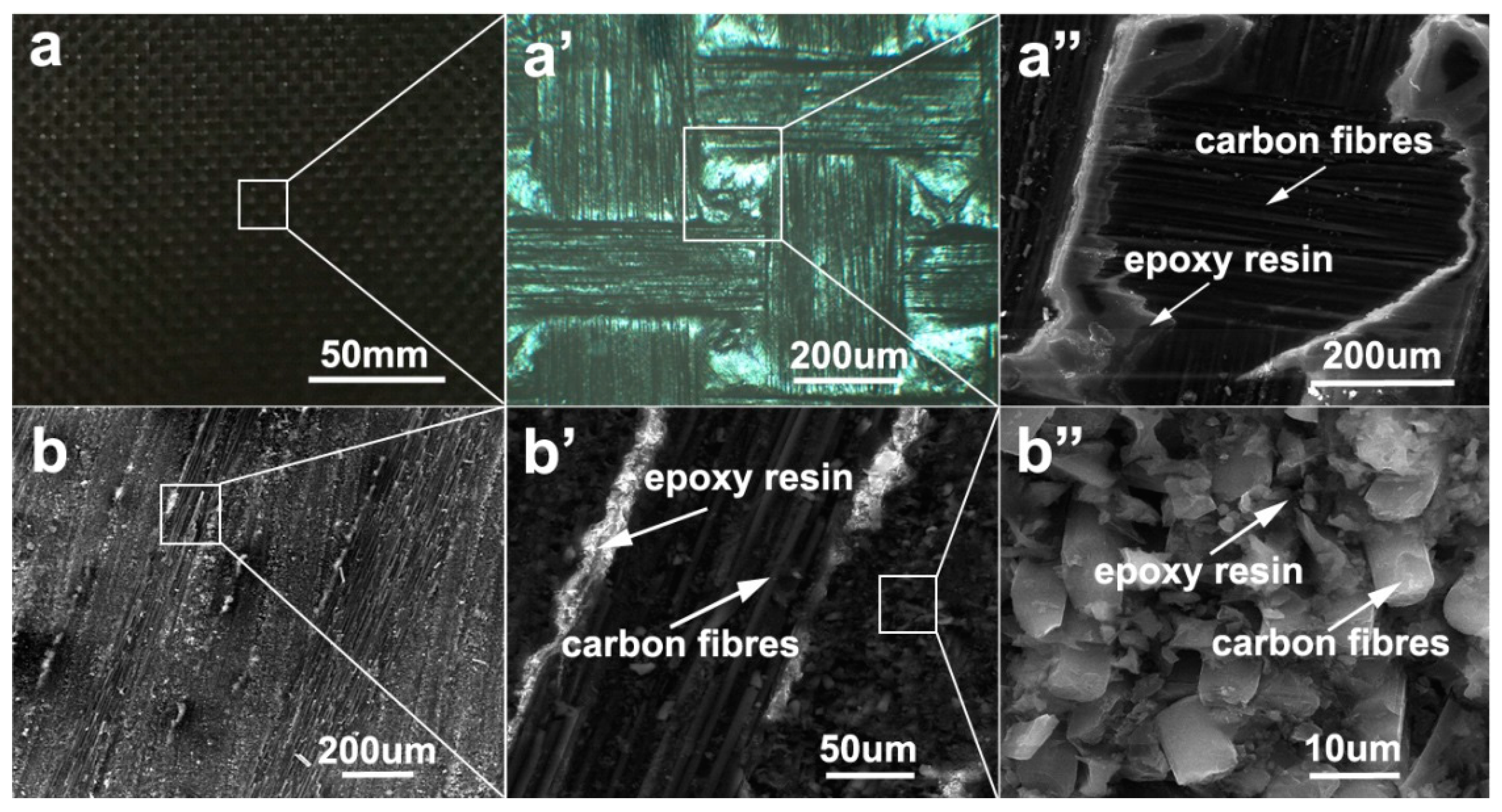 Processes 07 00207 g002