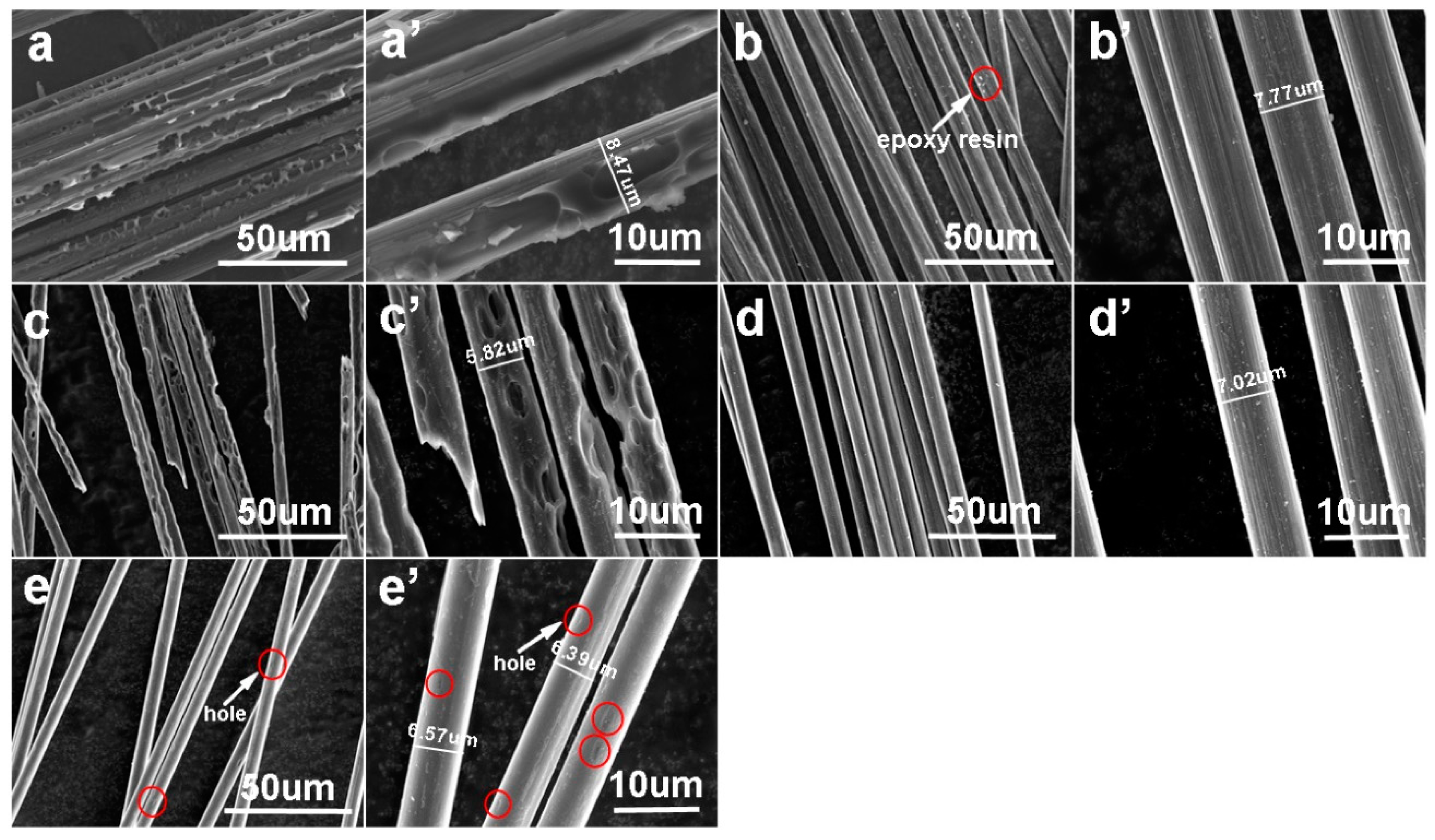 Processes 07 00207 g005