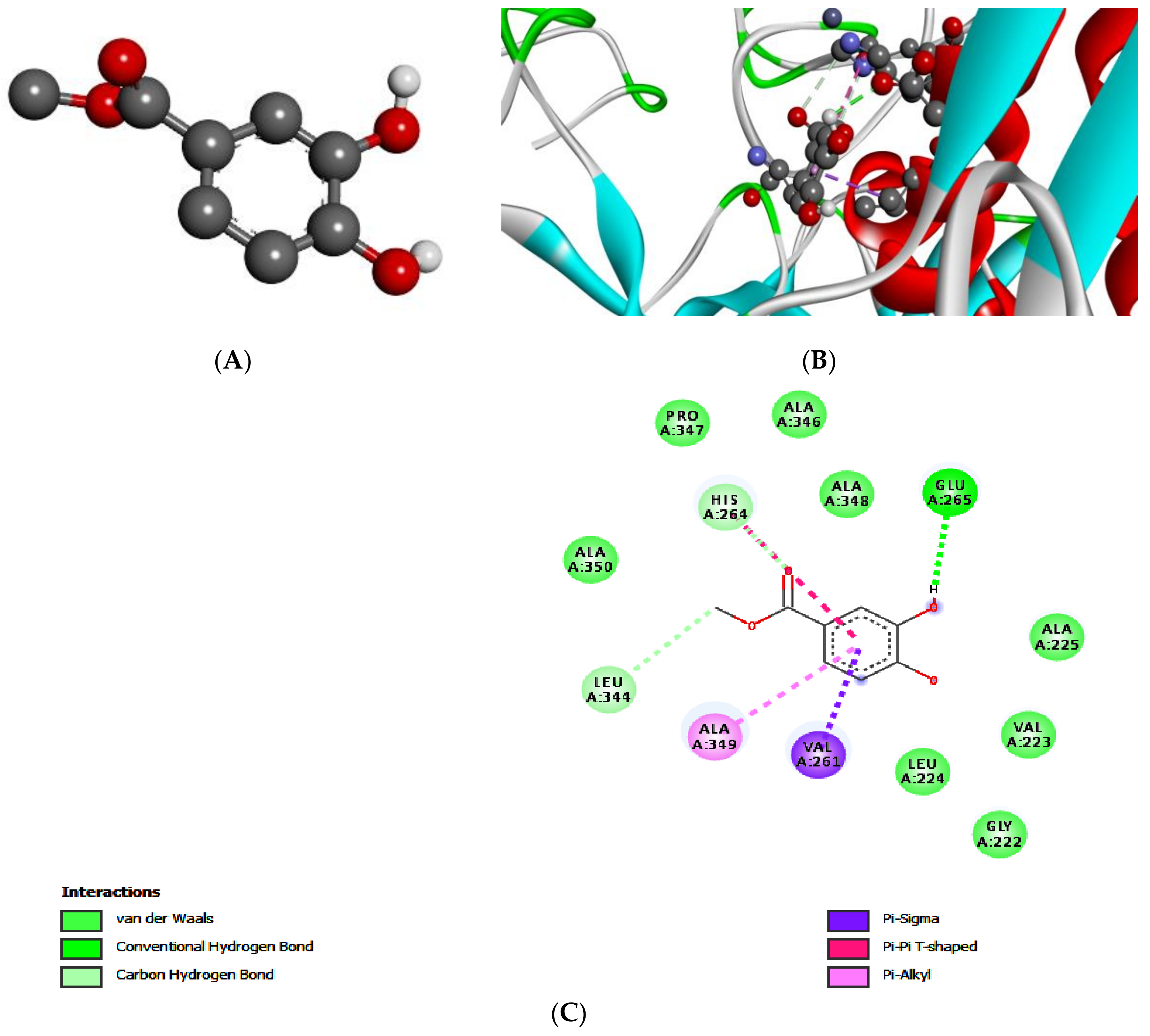 Processes 07 00208 g003