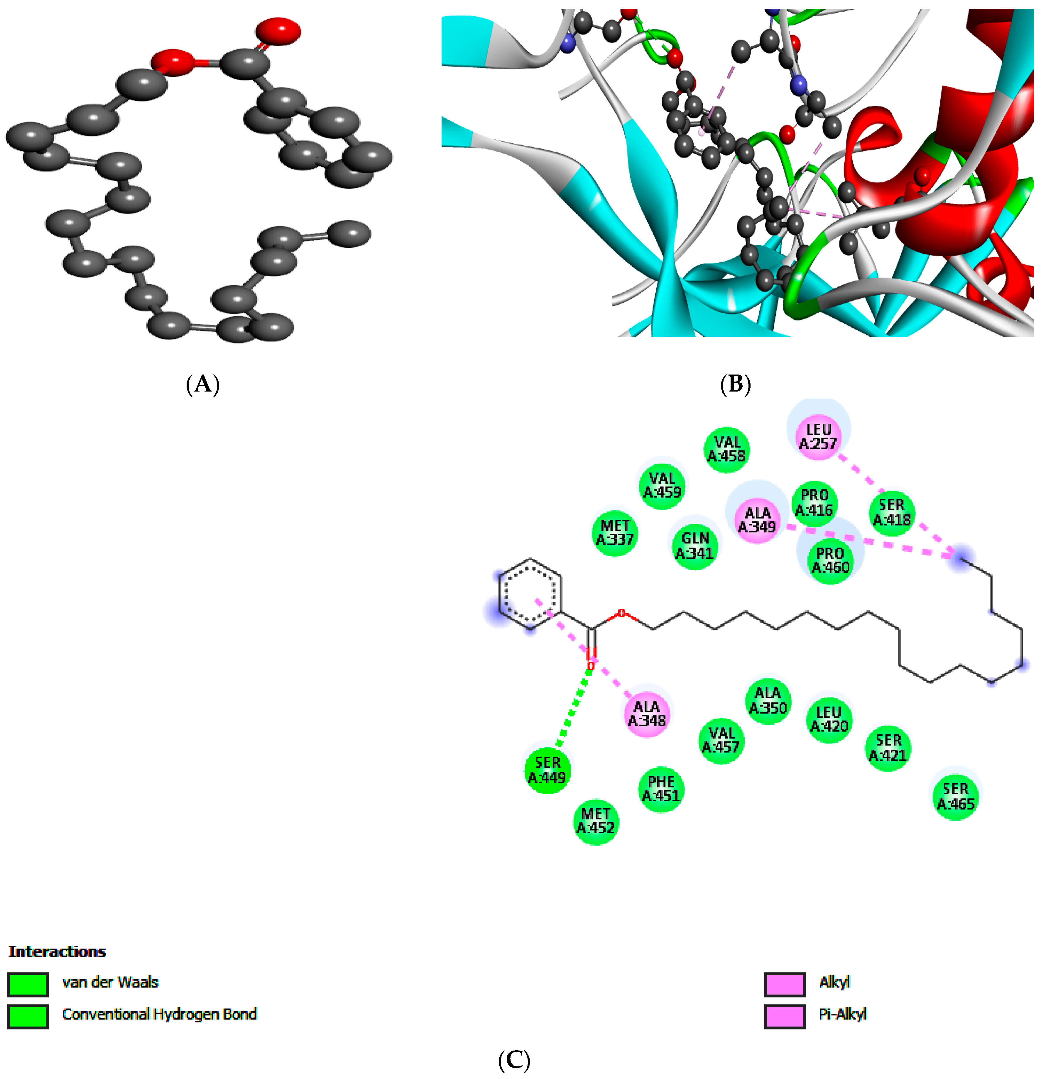 Processes 07 00208 g004