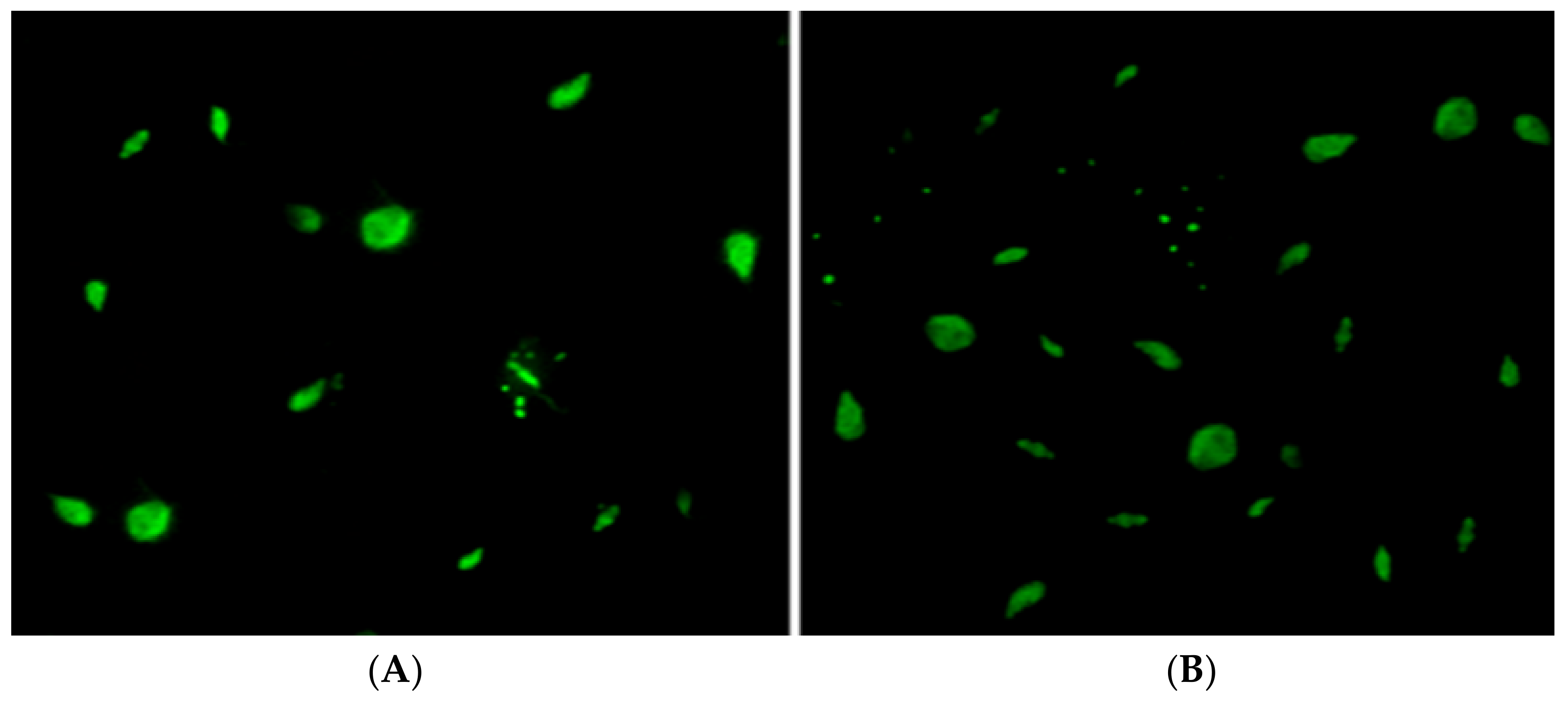 Processes 07 00208 g006