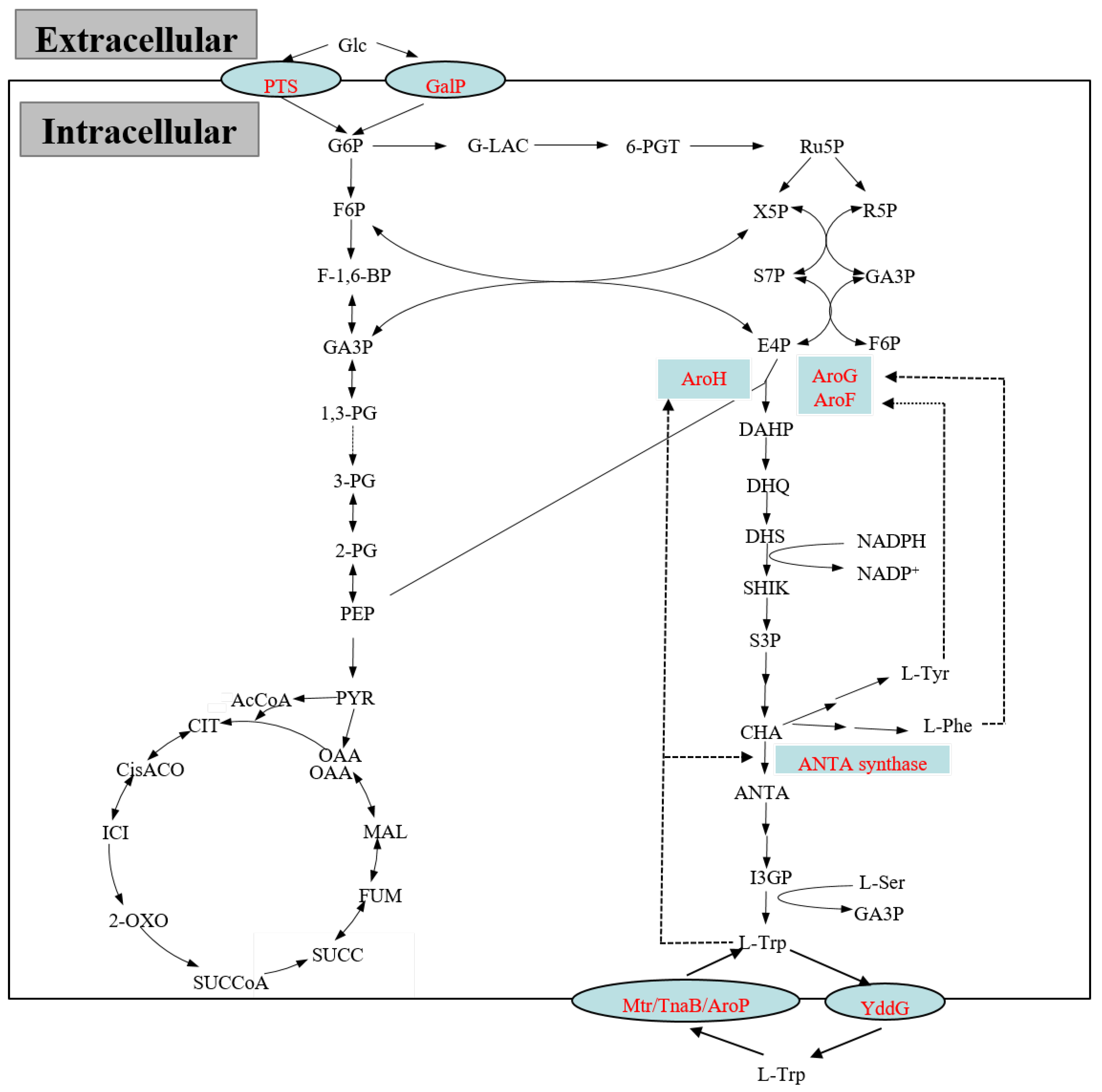 Processes 07 00213 g002