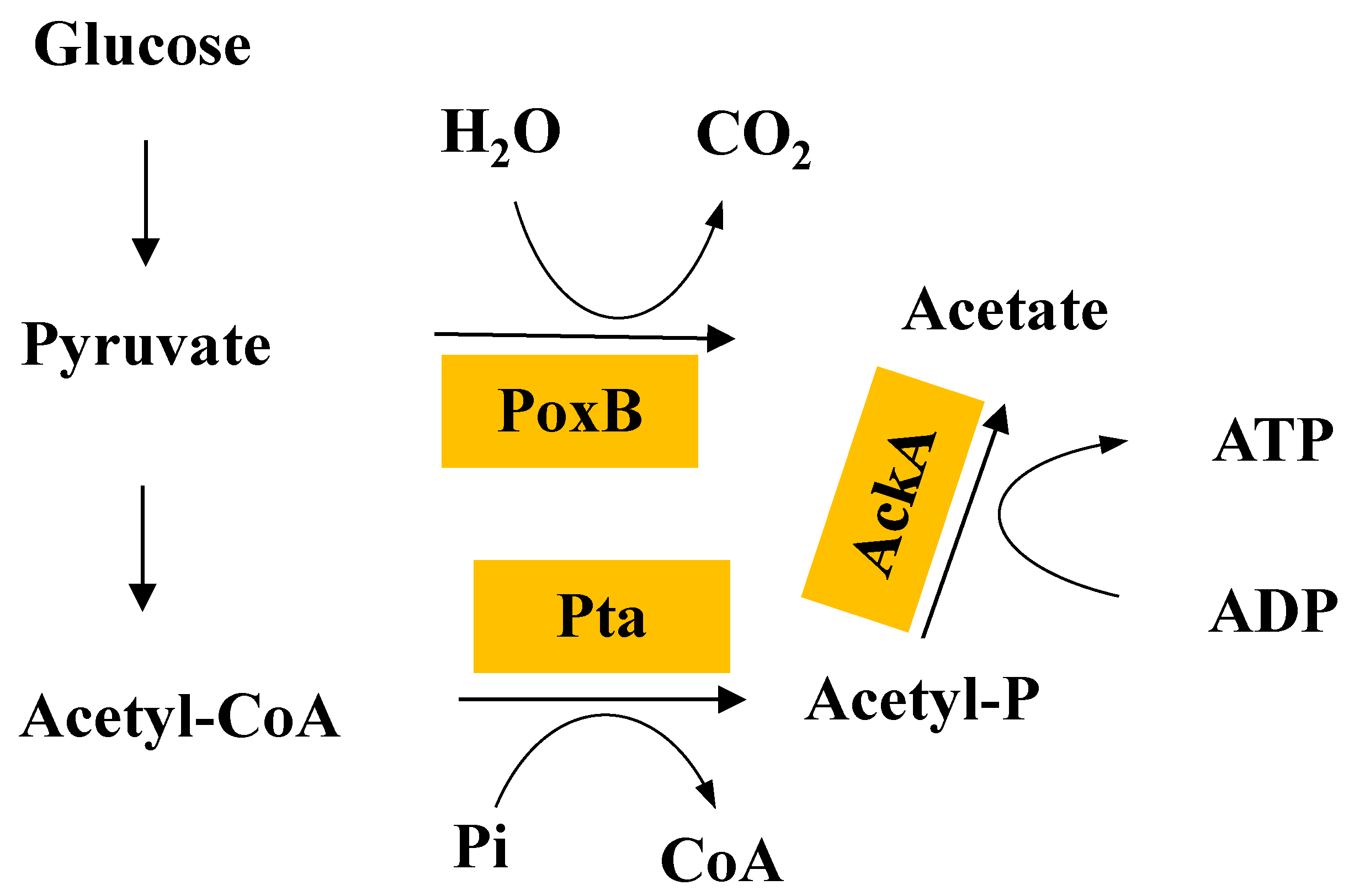 Processes 07 00213 g003