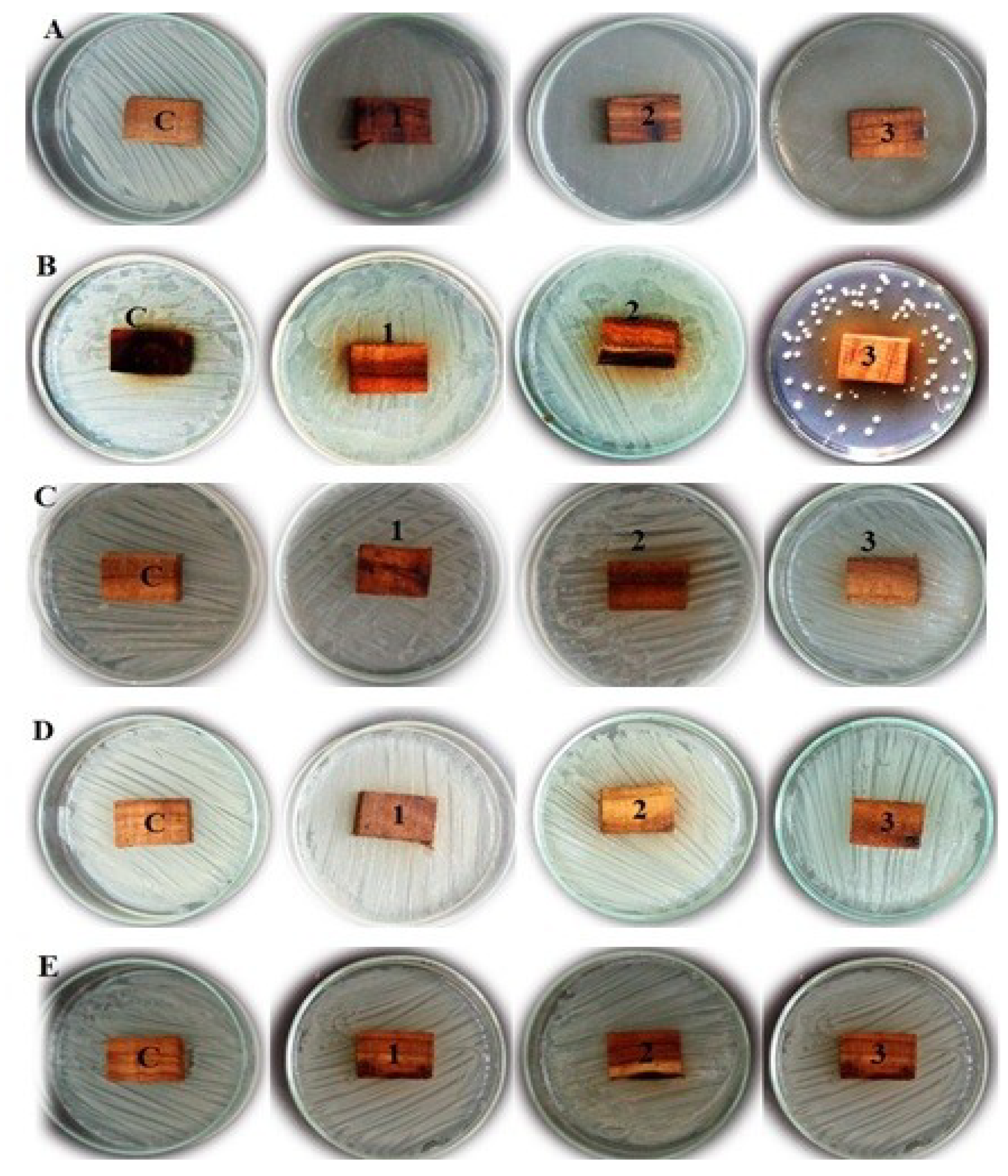 Processes 07 00215 g001