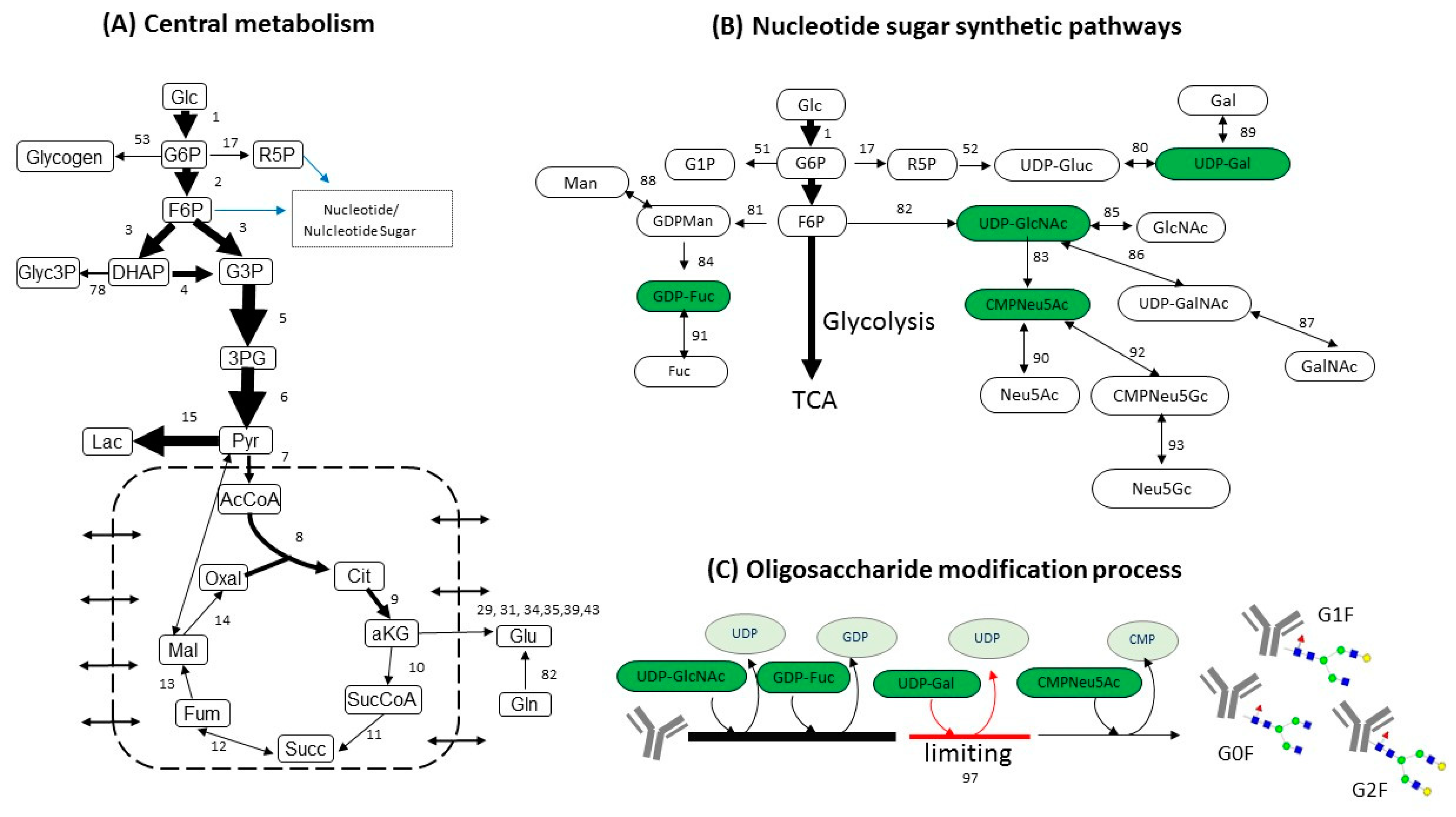 Processes 07 00227 g002