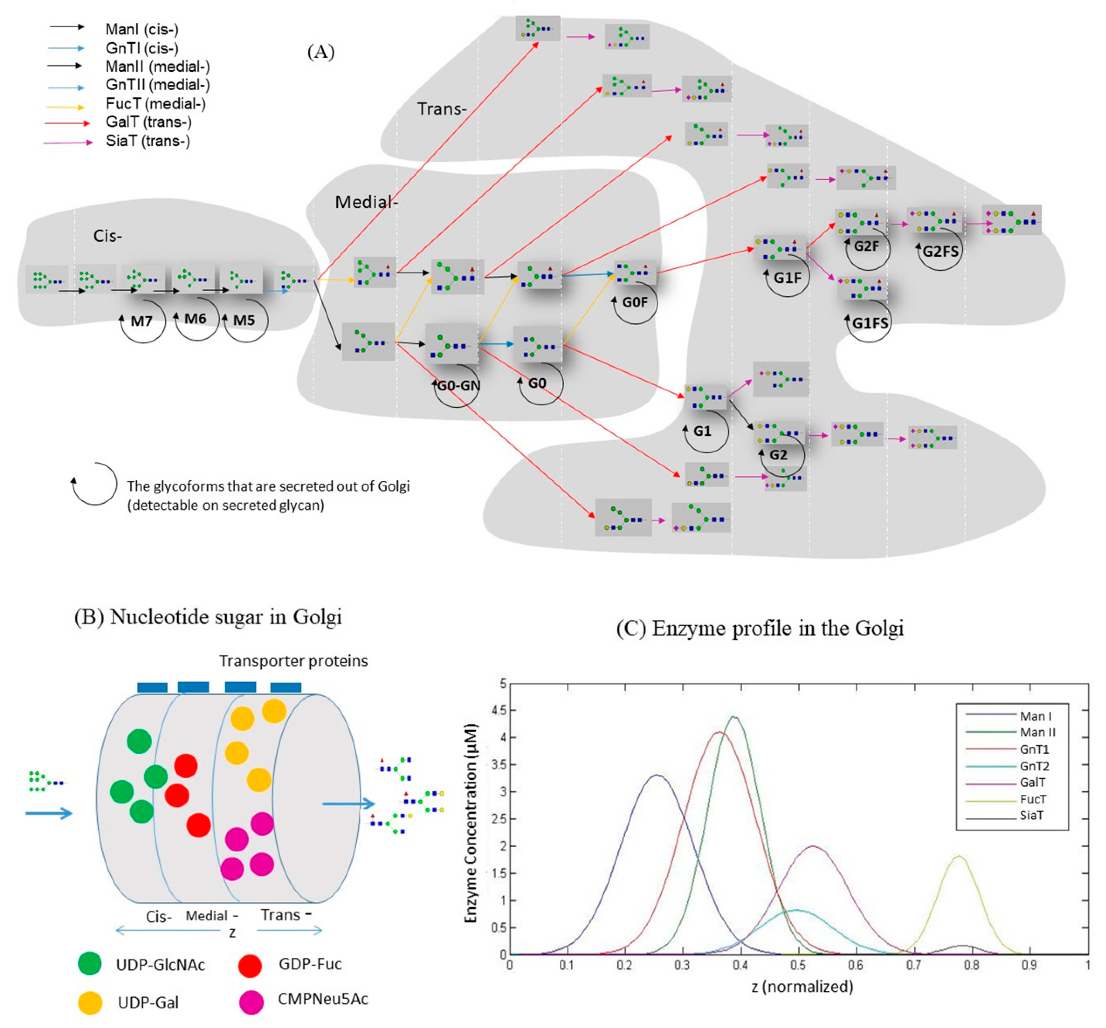 Processes 07 00227 g003