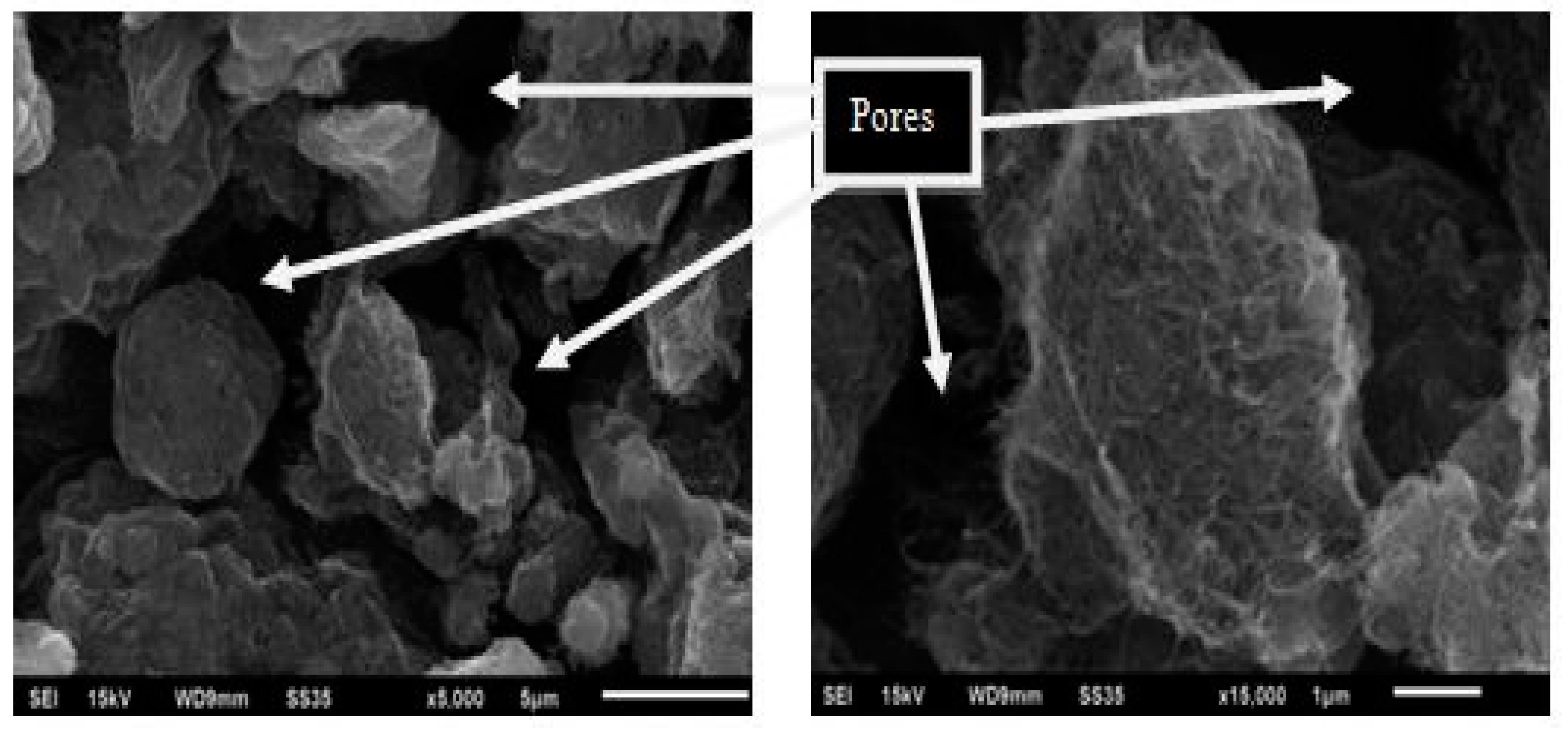 Processes 07 00238 g004