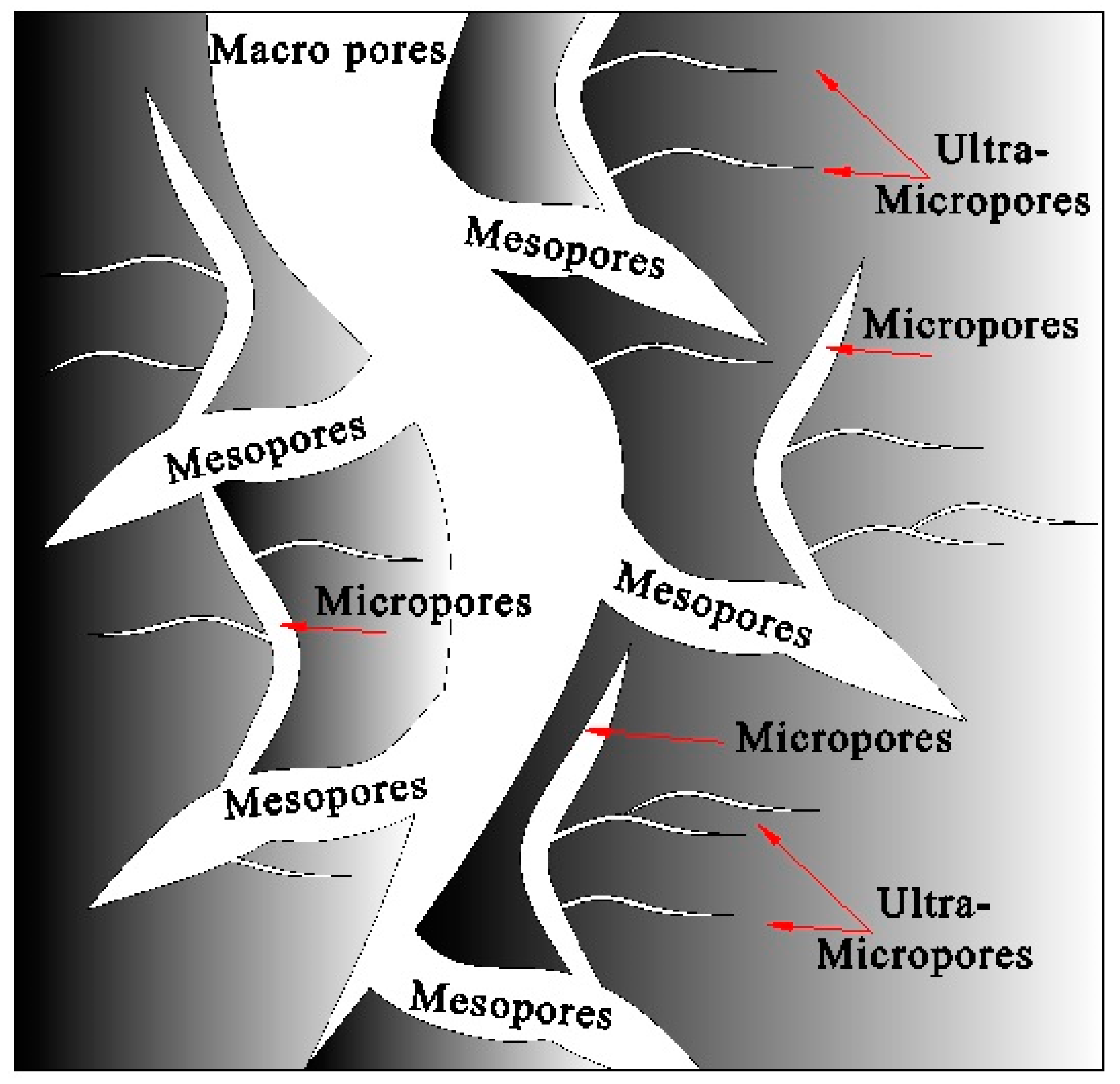 Processes 07 00238 g005