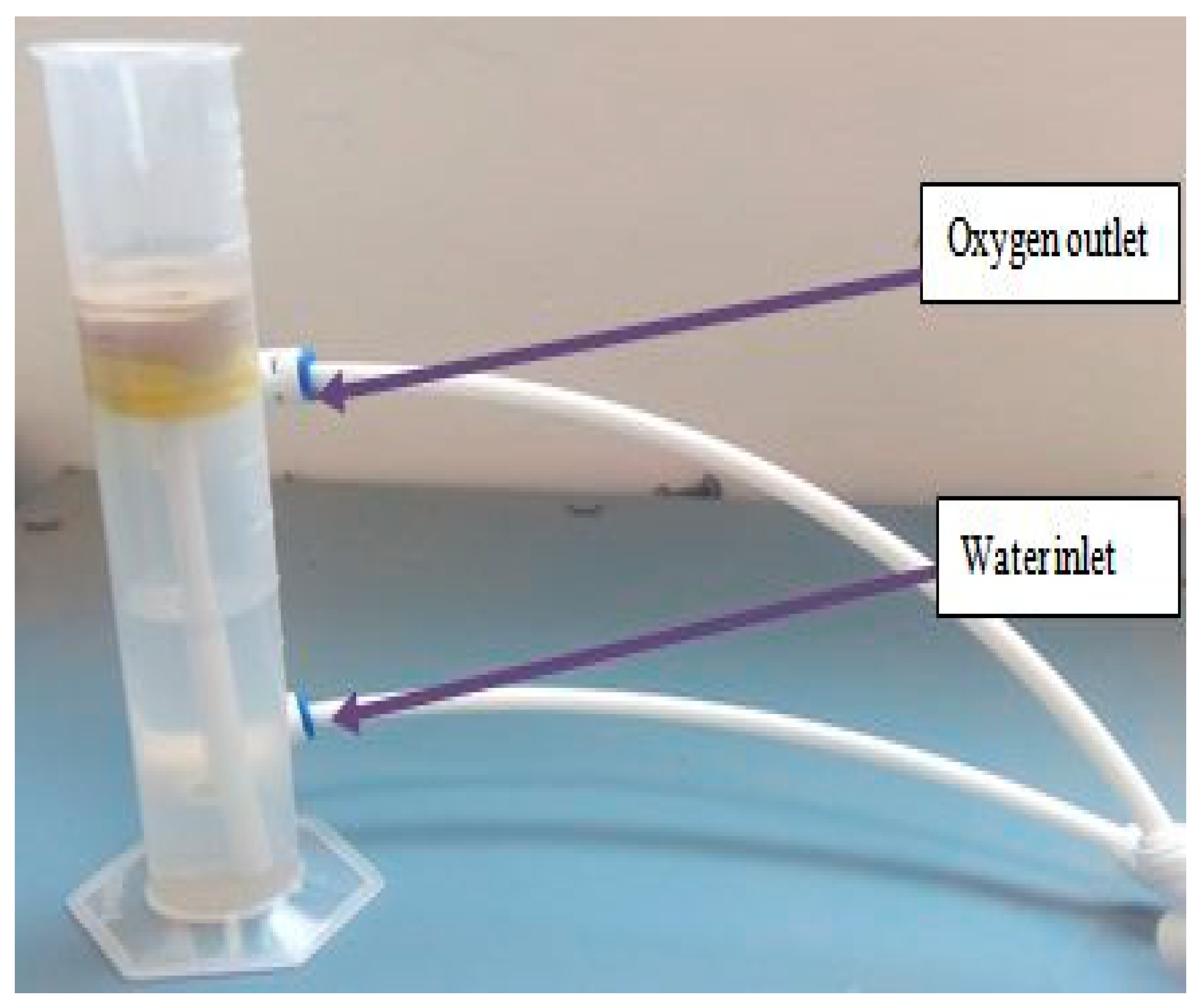 Processes 07 00238 g009