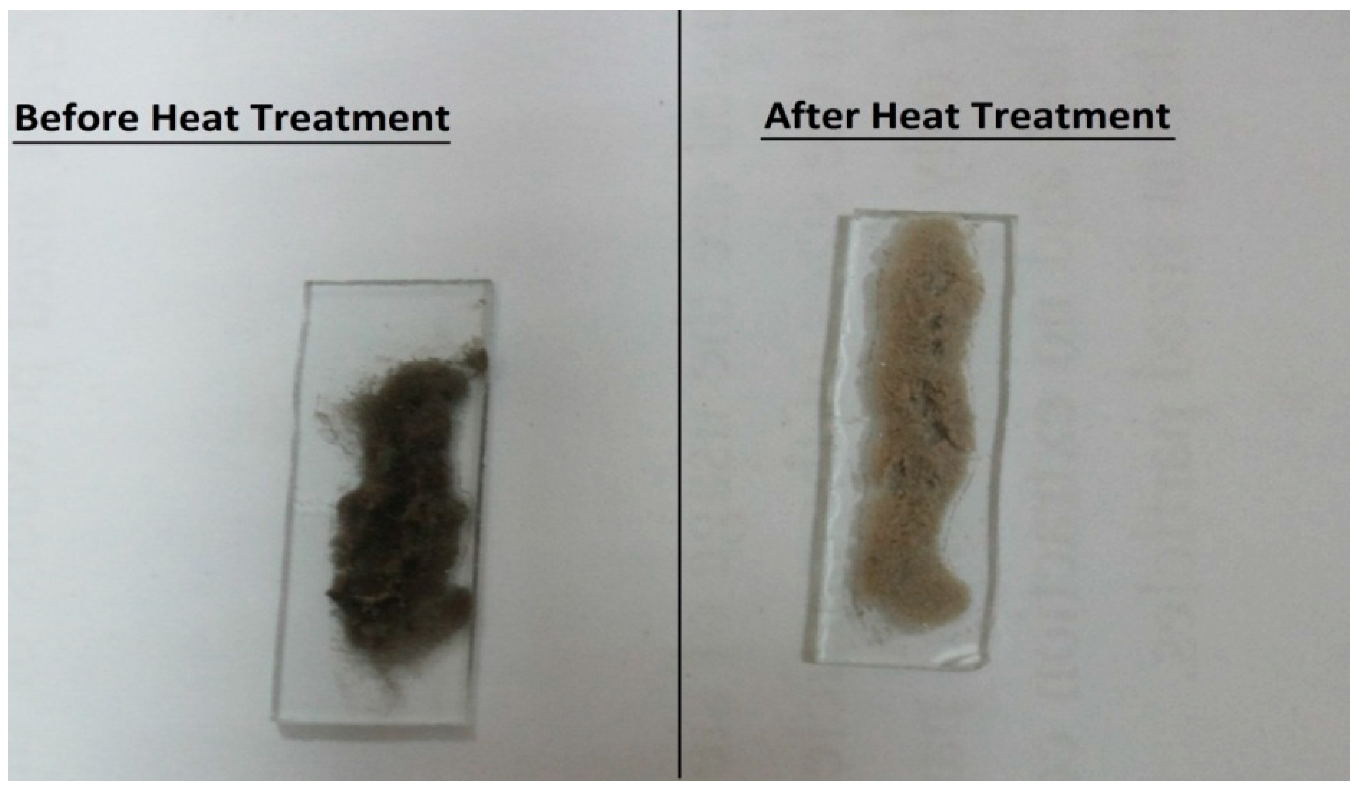 Processes 07 00245 g006