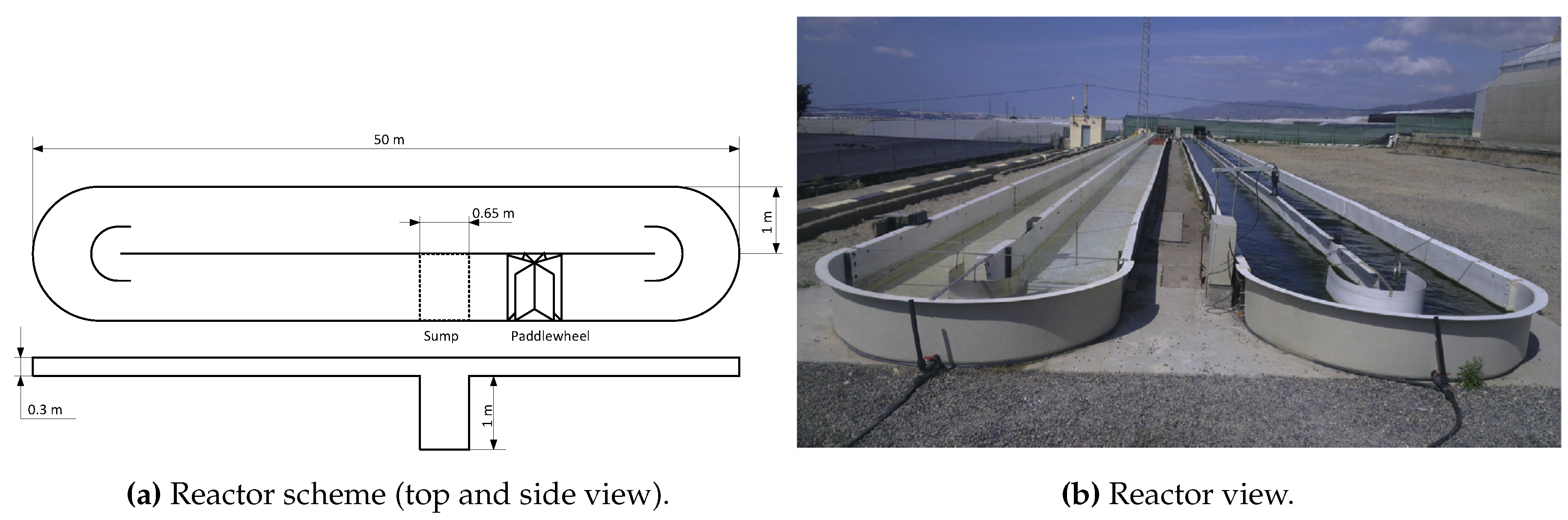 Processes 07 00247 g001