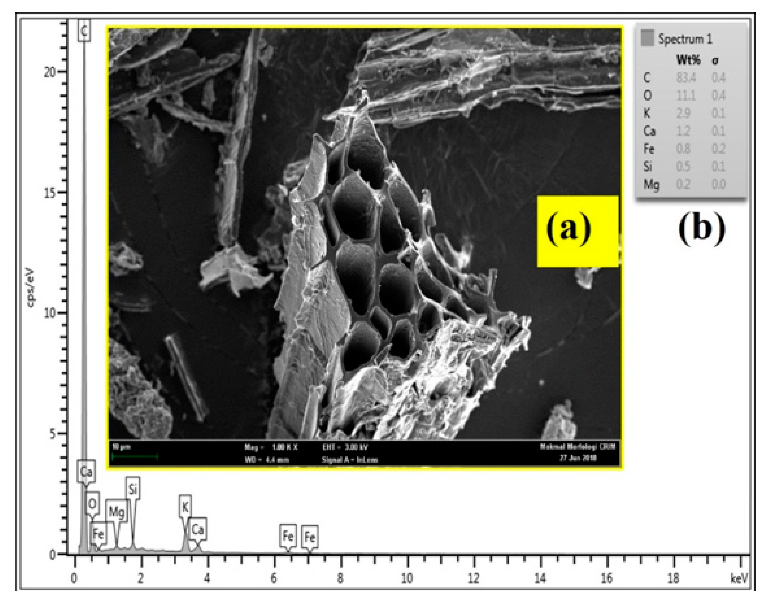 Processes 07 00249 g006