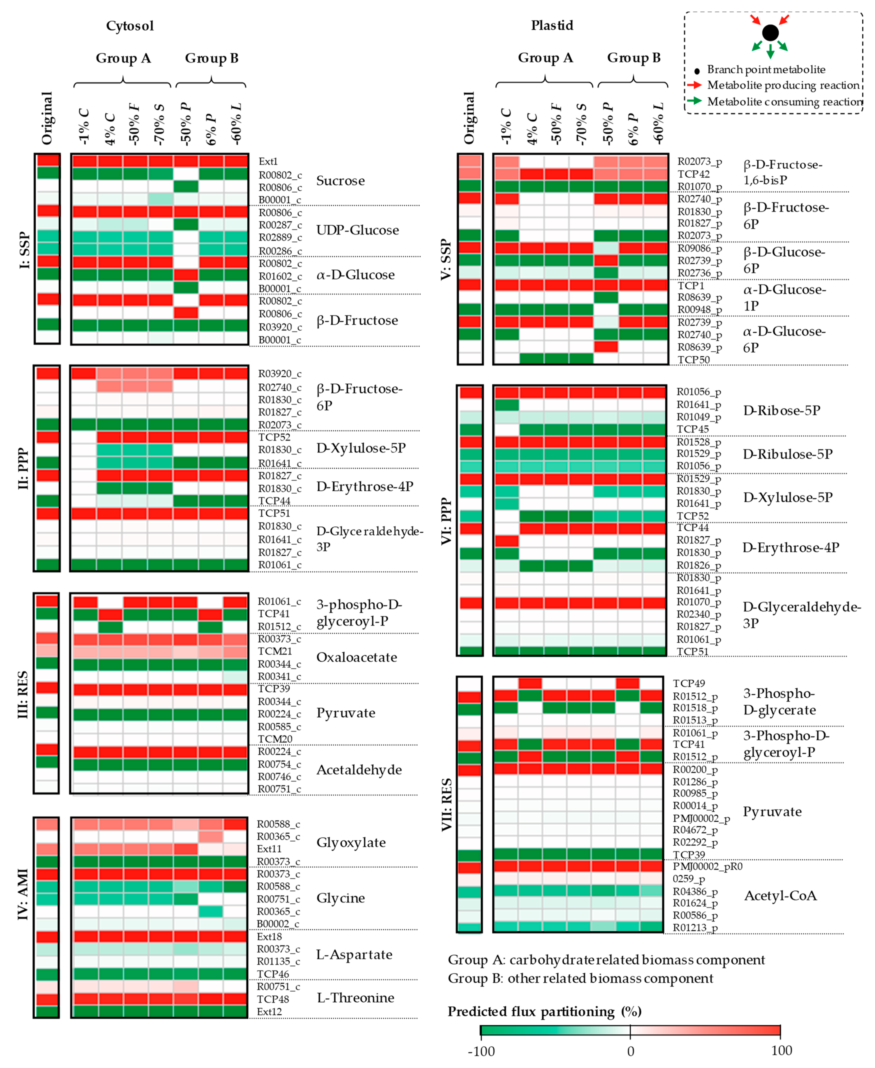 Processes 07 00259 g006