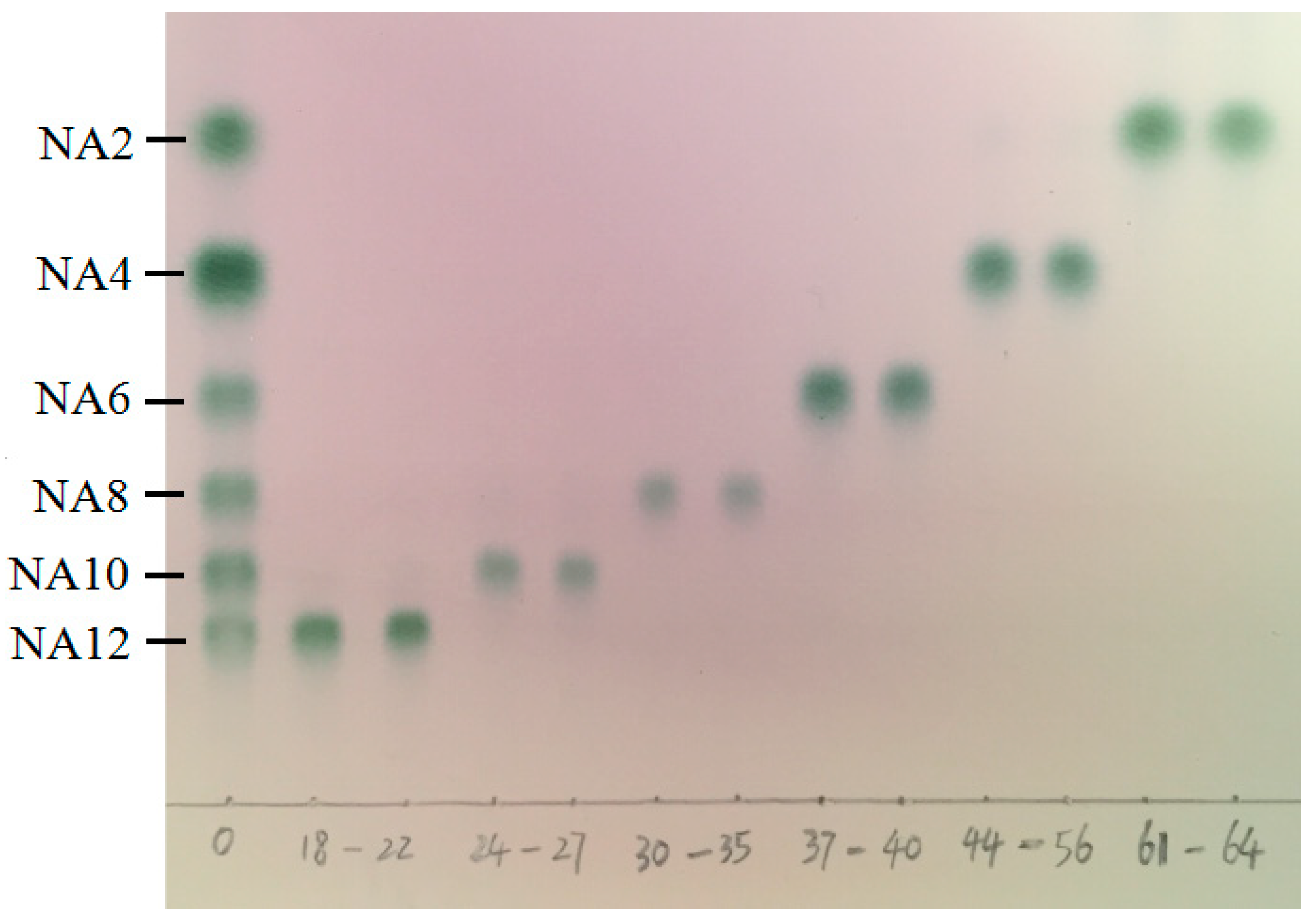 Processes 07 00267 g004