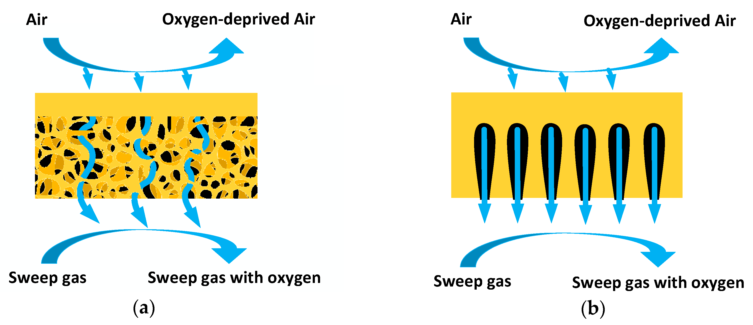 Processes 07 00322 g001