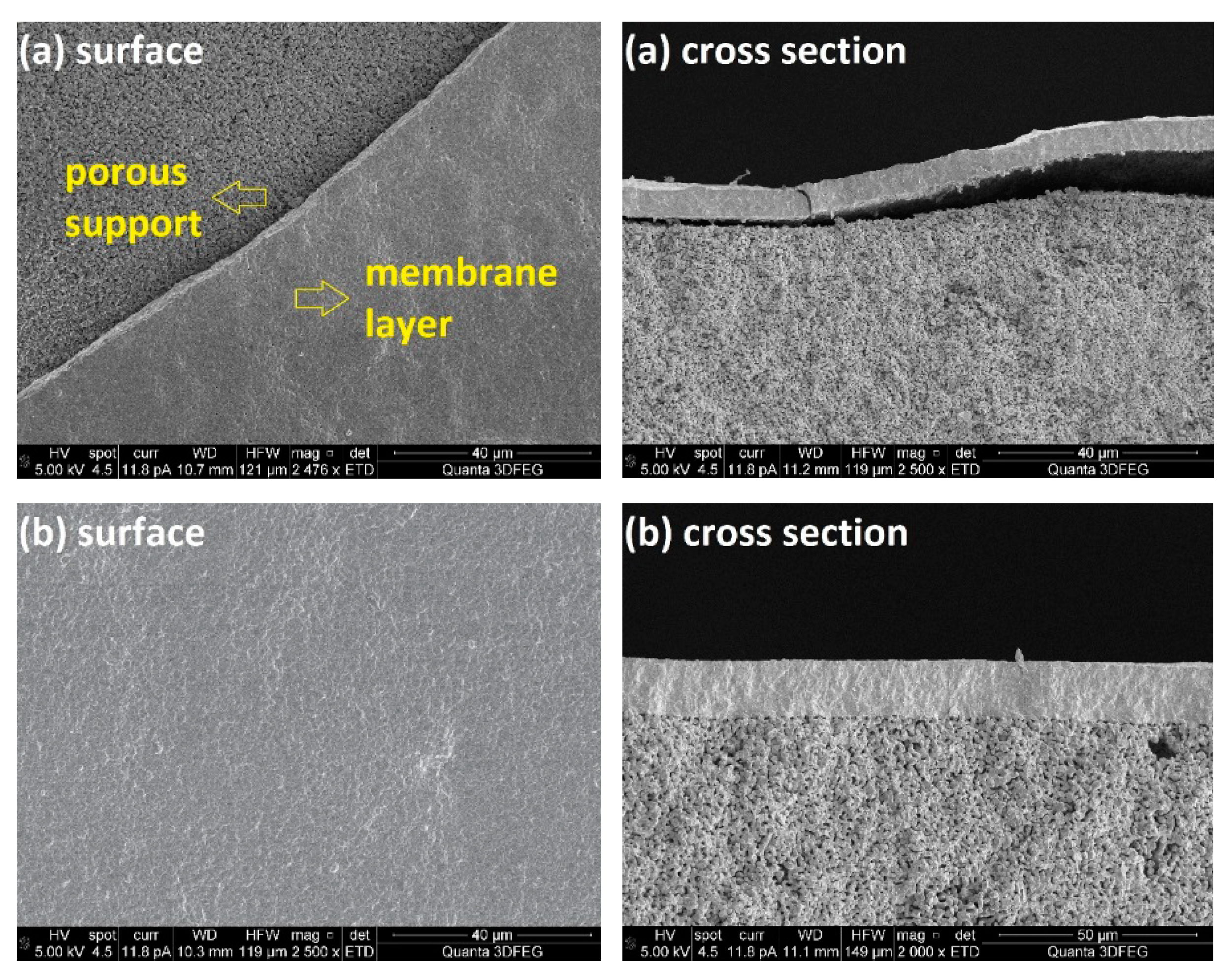 Processes 07 00322 g003