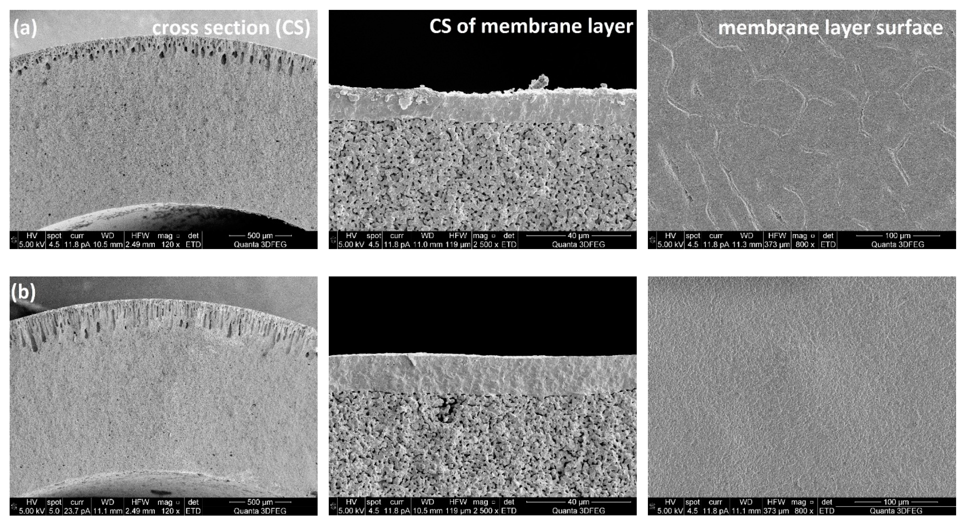 Processes 07 00322 g005a