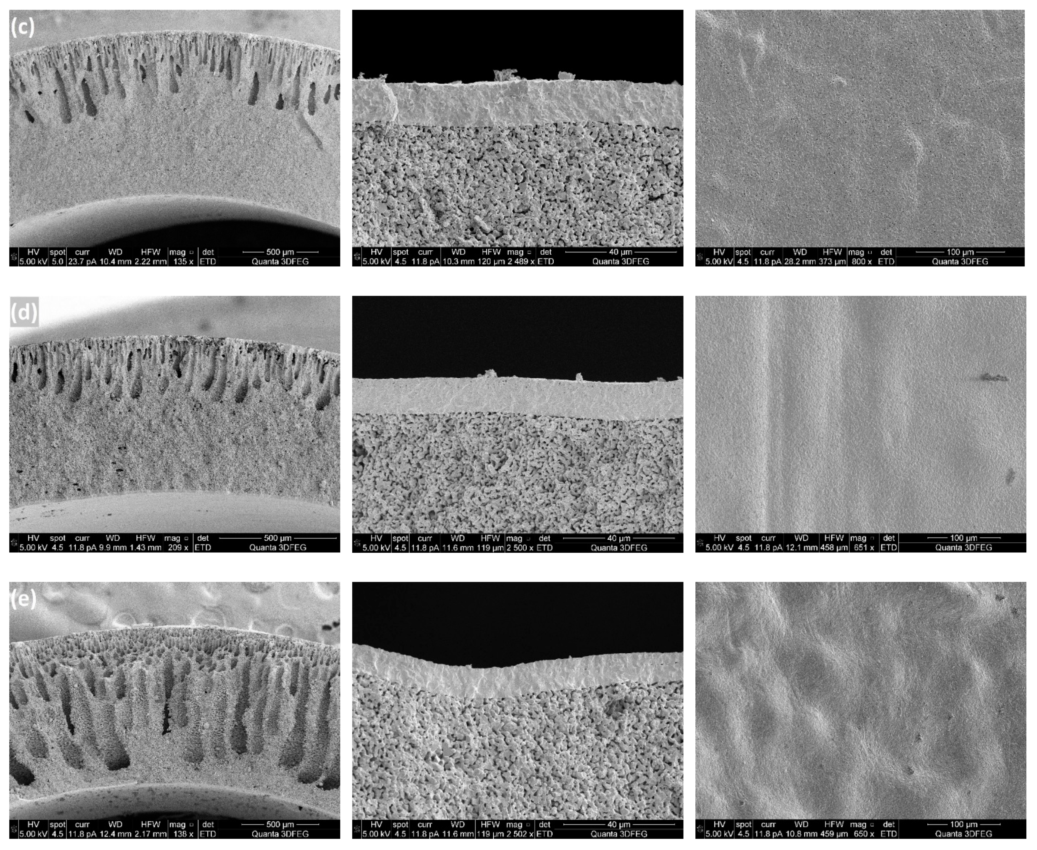 Processes 07 00322 g005b