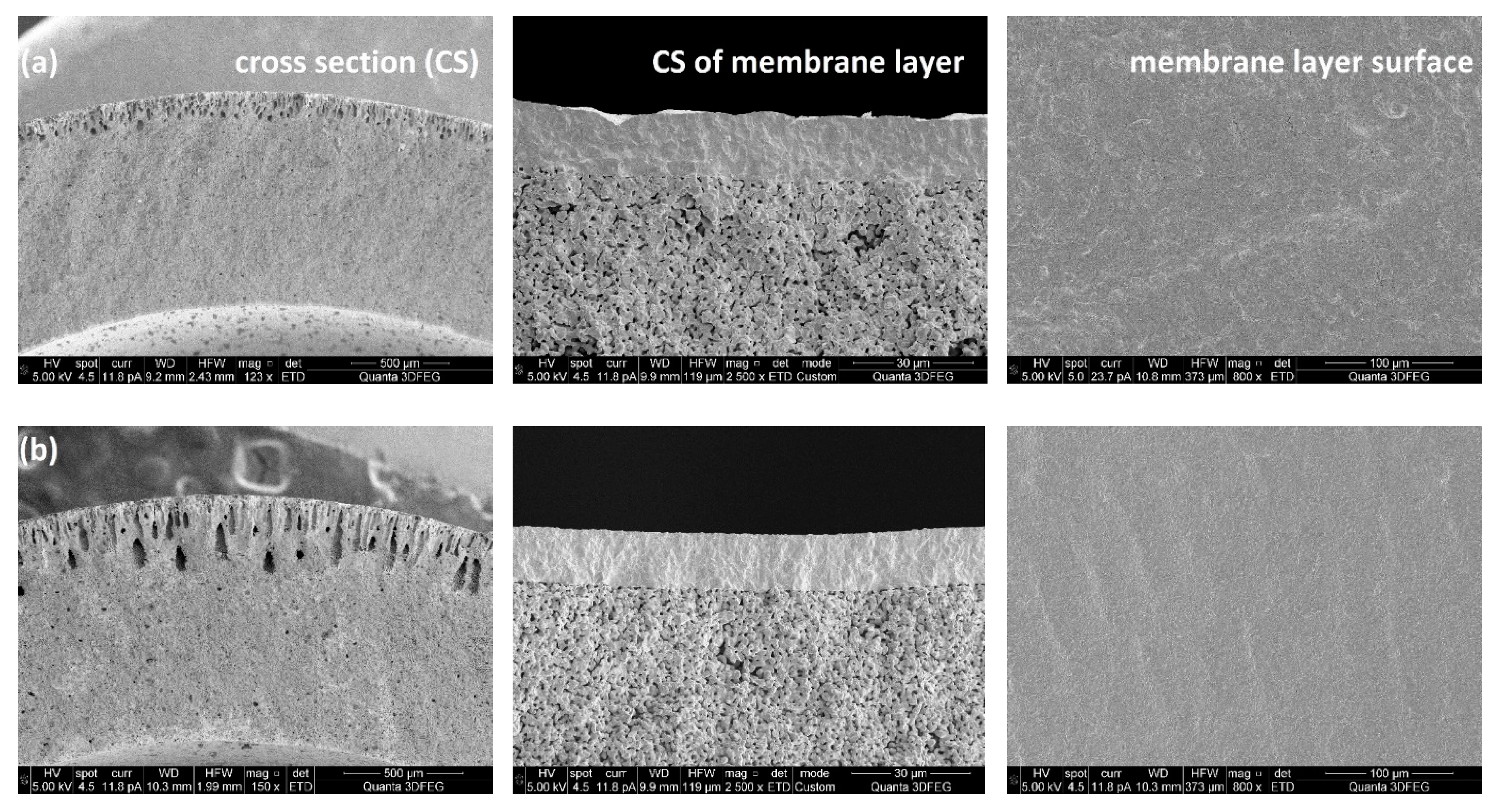 Processes 07 00322 g008a