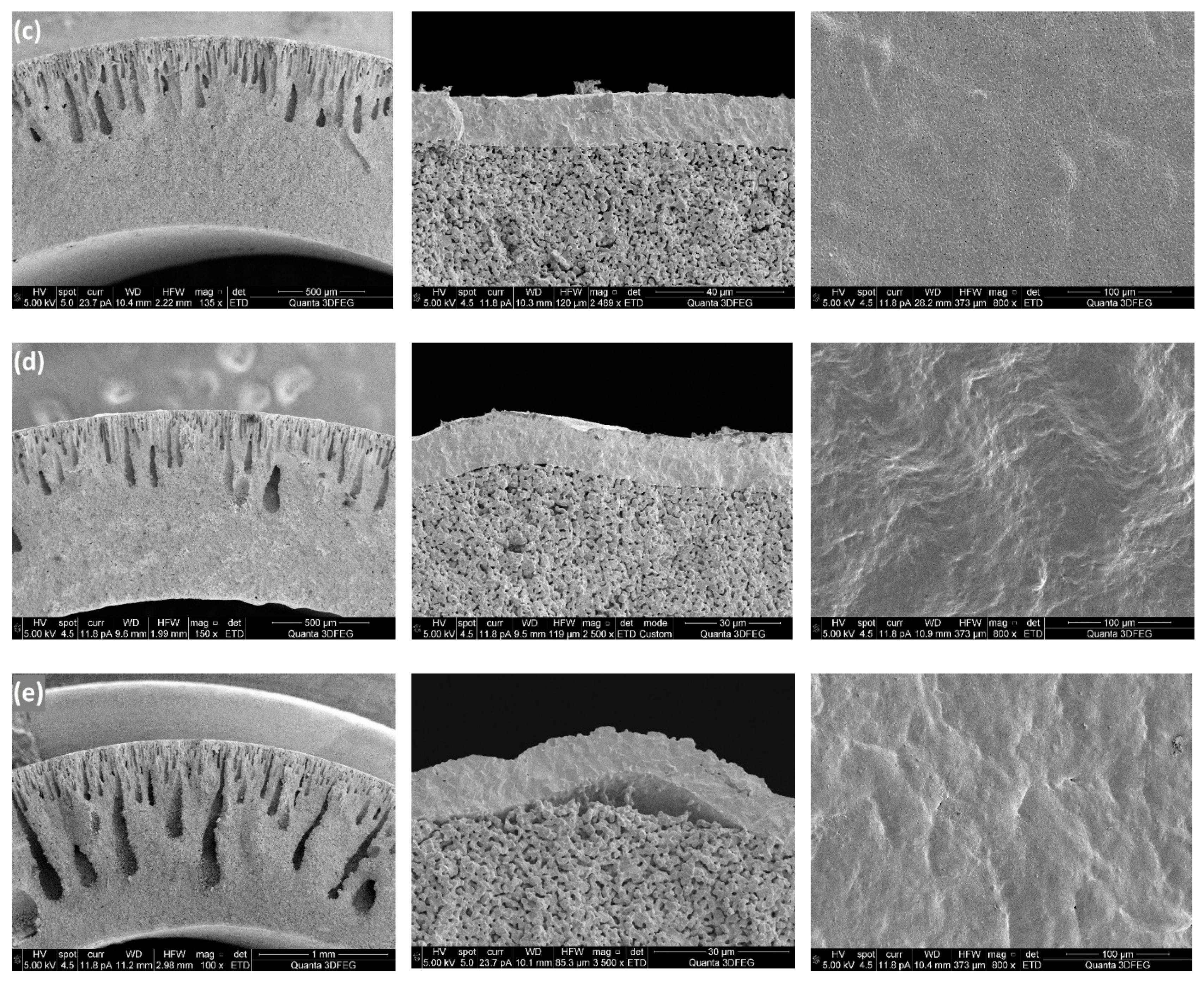 Processes 07 00322 g008b