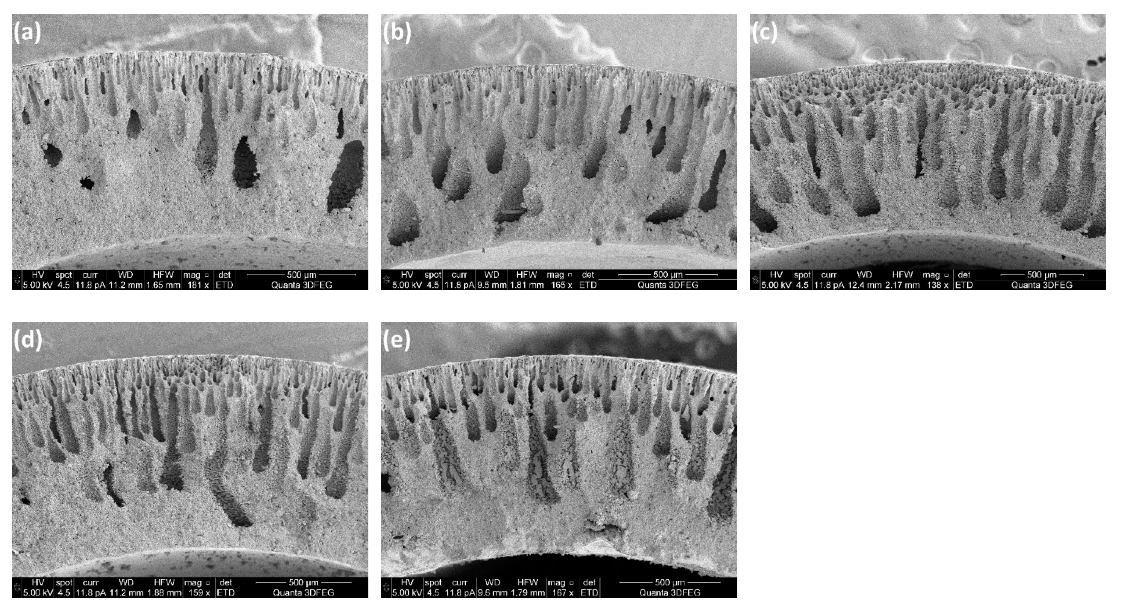 Processes 07 00322 g011