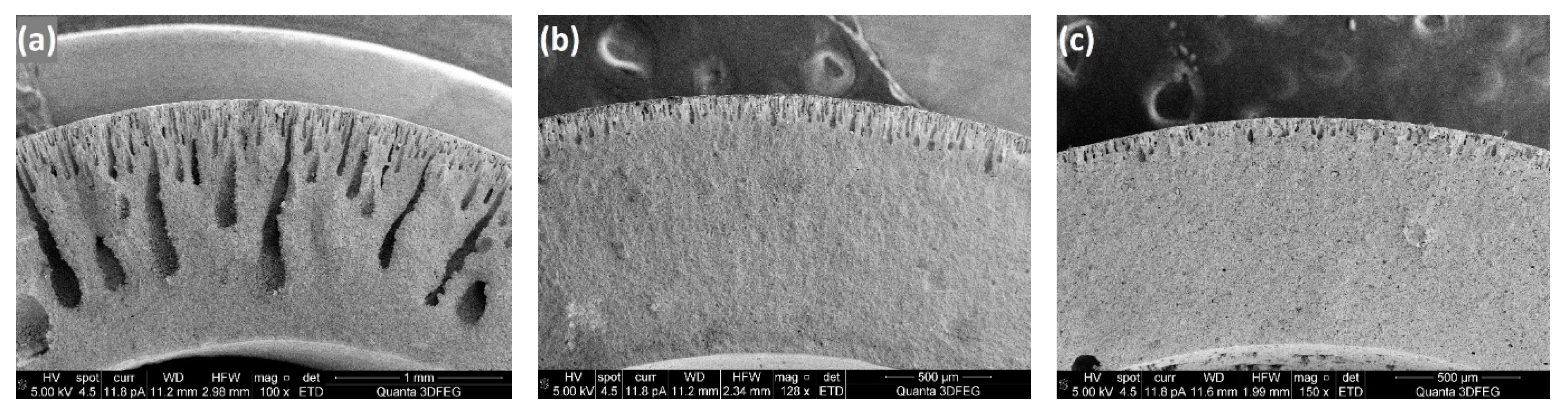 Processes 07 00322 g012