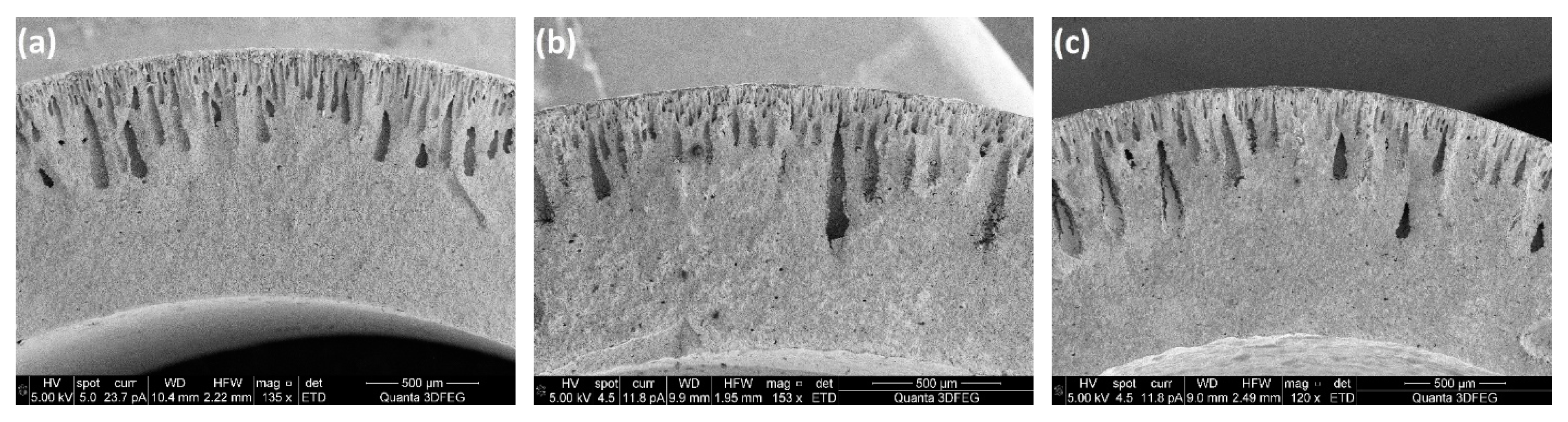 Processes 07 00322 g015a