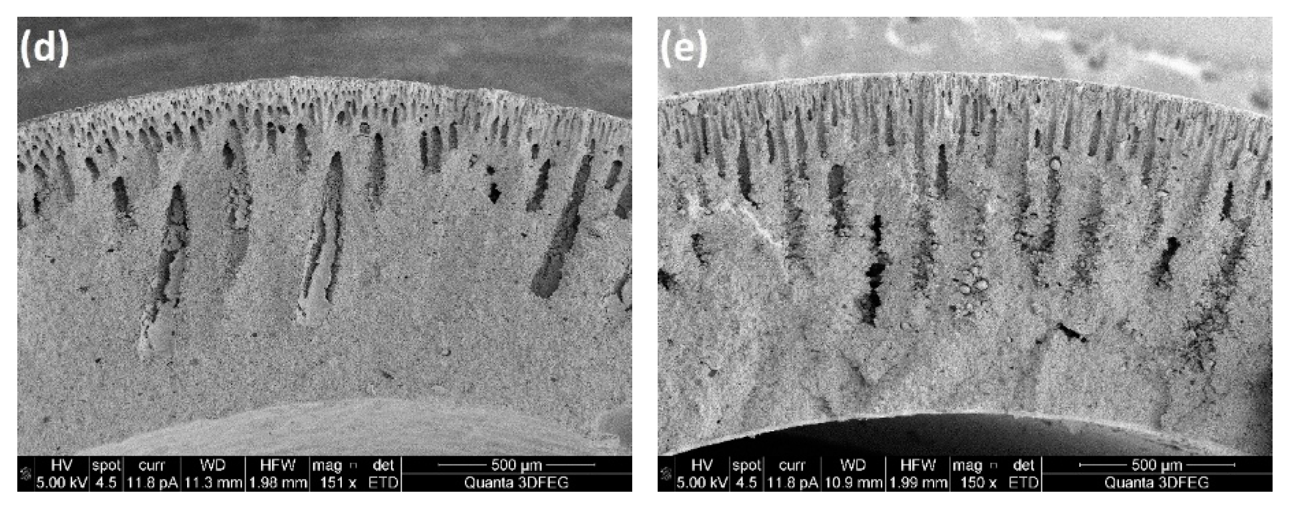Processes 07 00322 g015b