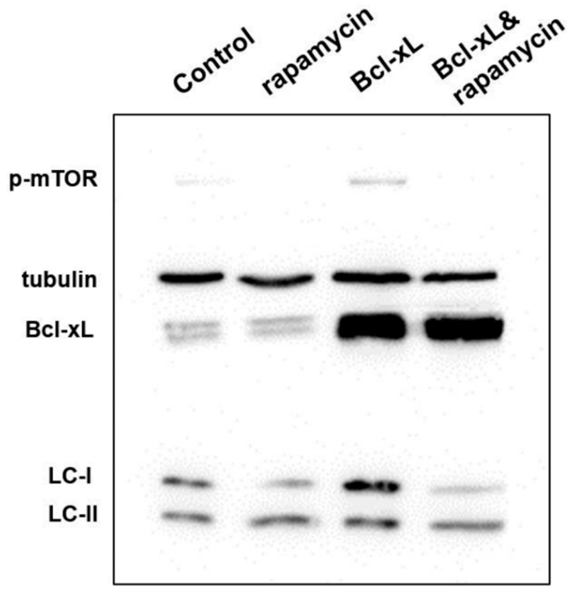 Processes 07 00329 g003